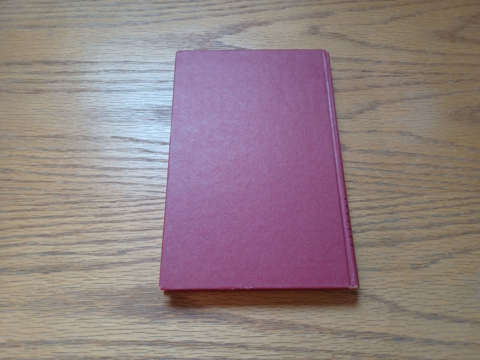 Image #6
