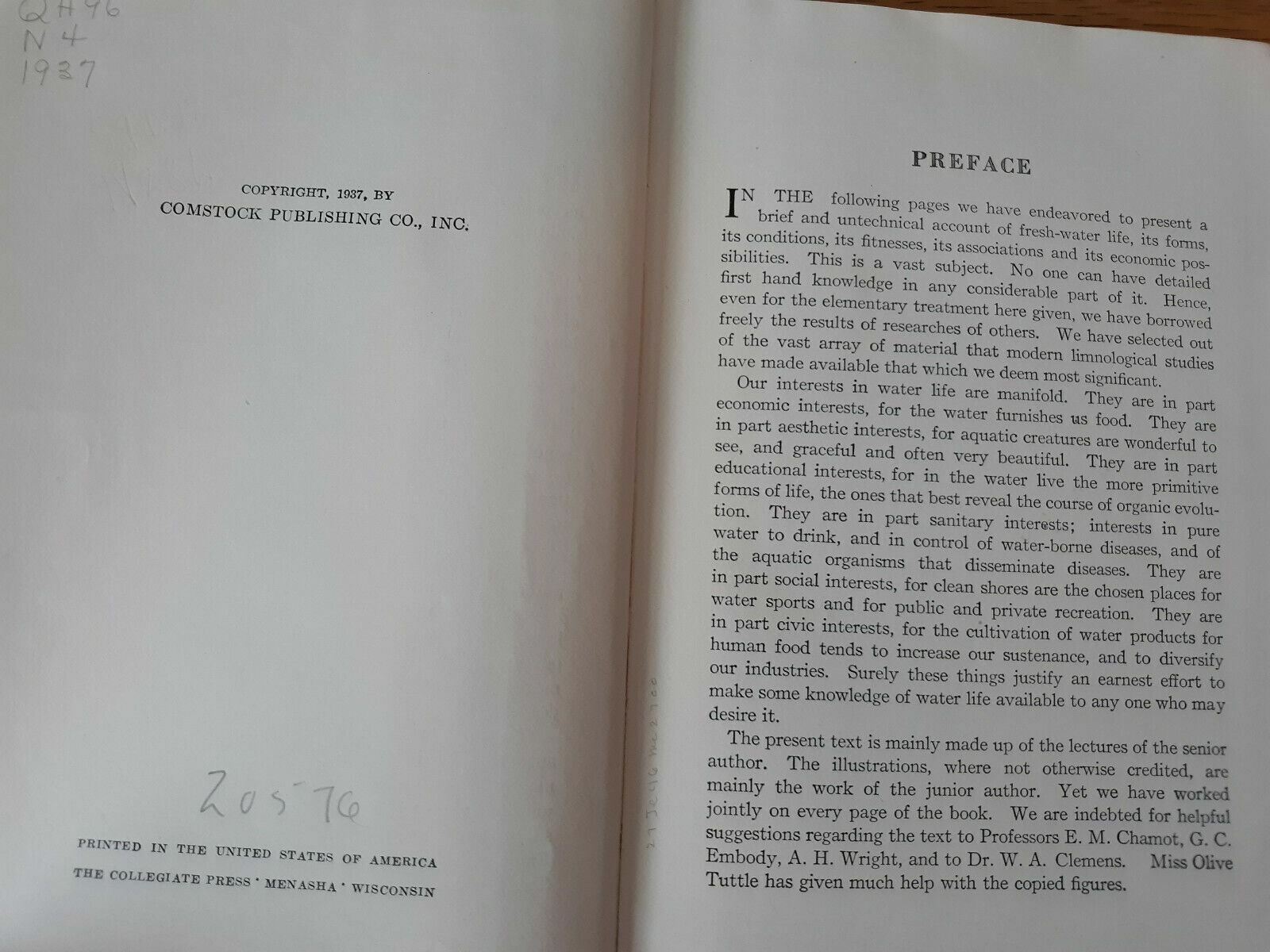 Image #9