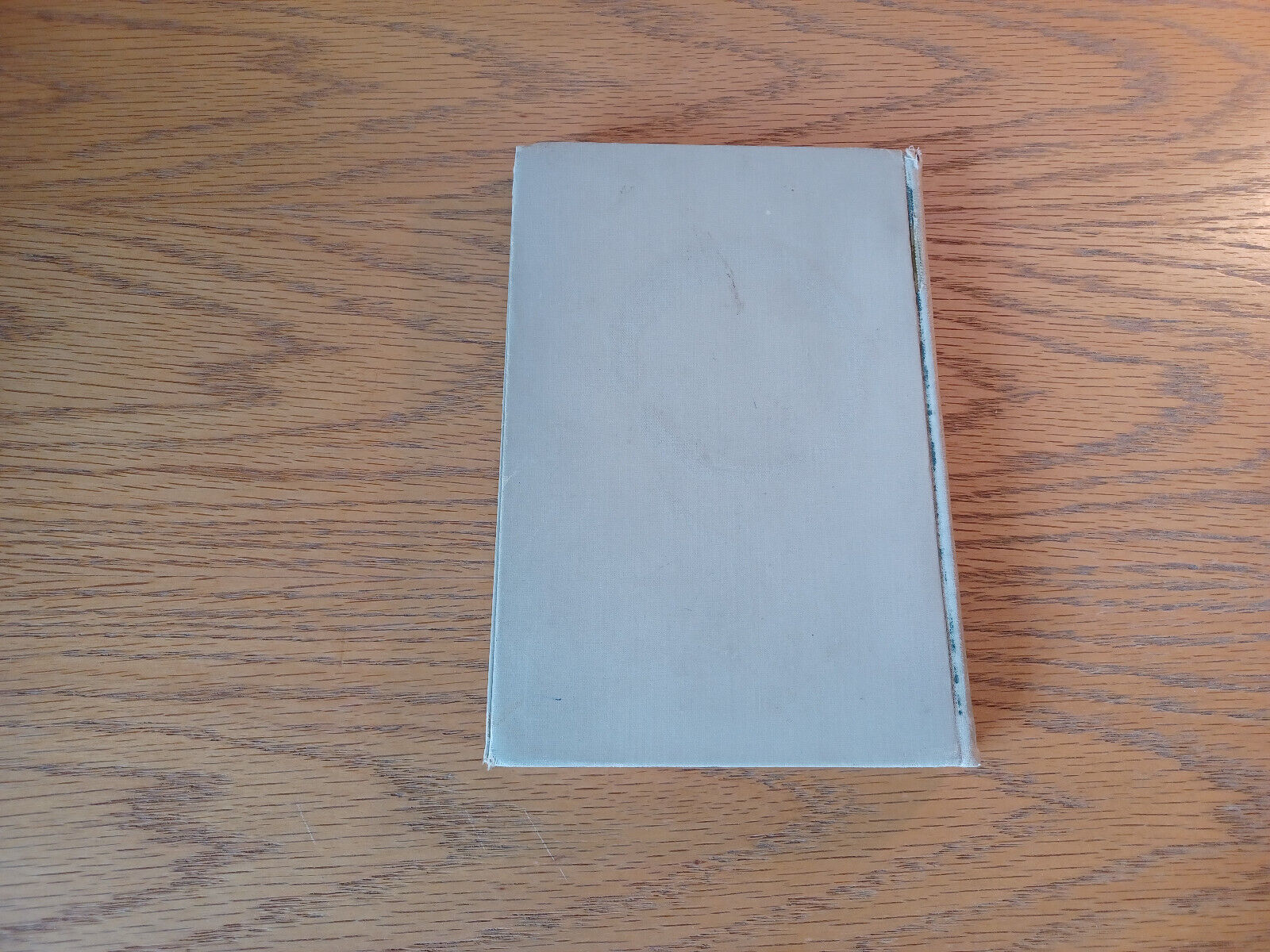 Image #6