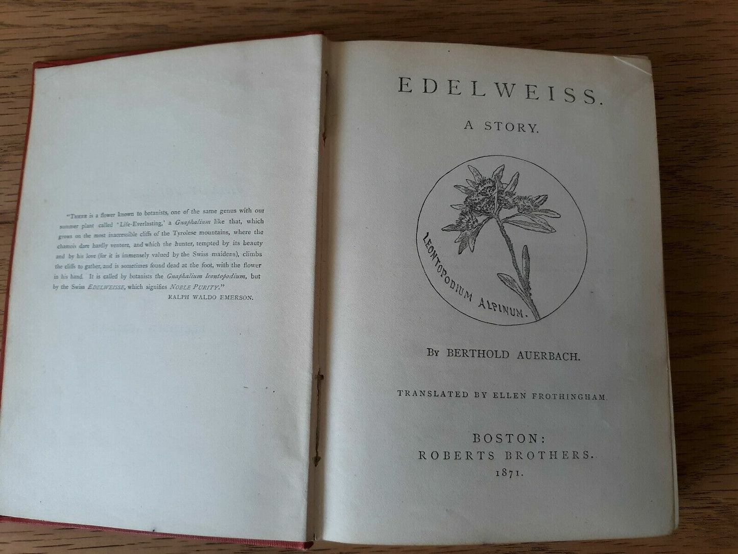 Image #7