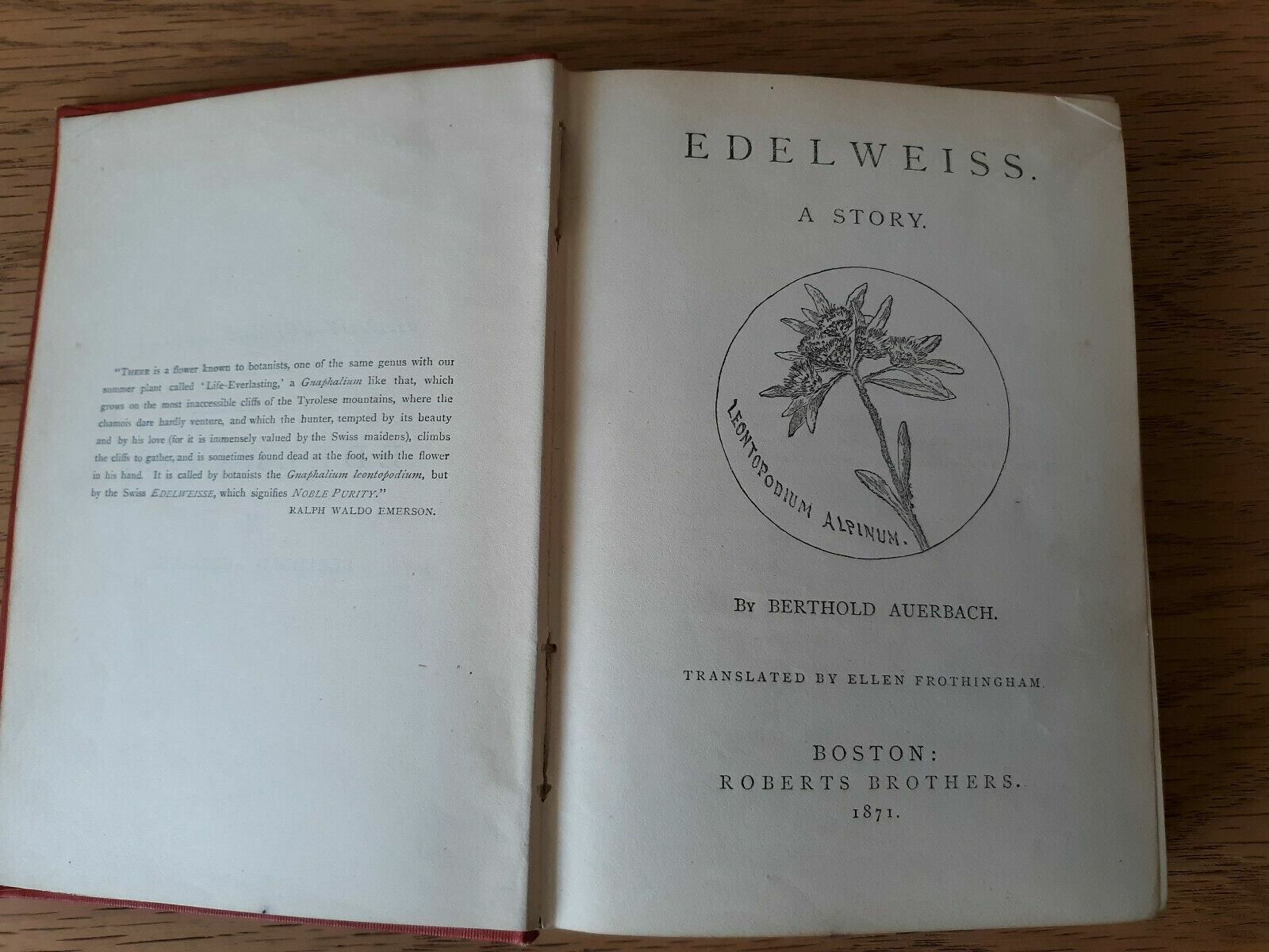 Image #7