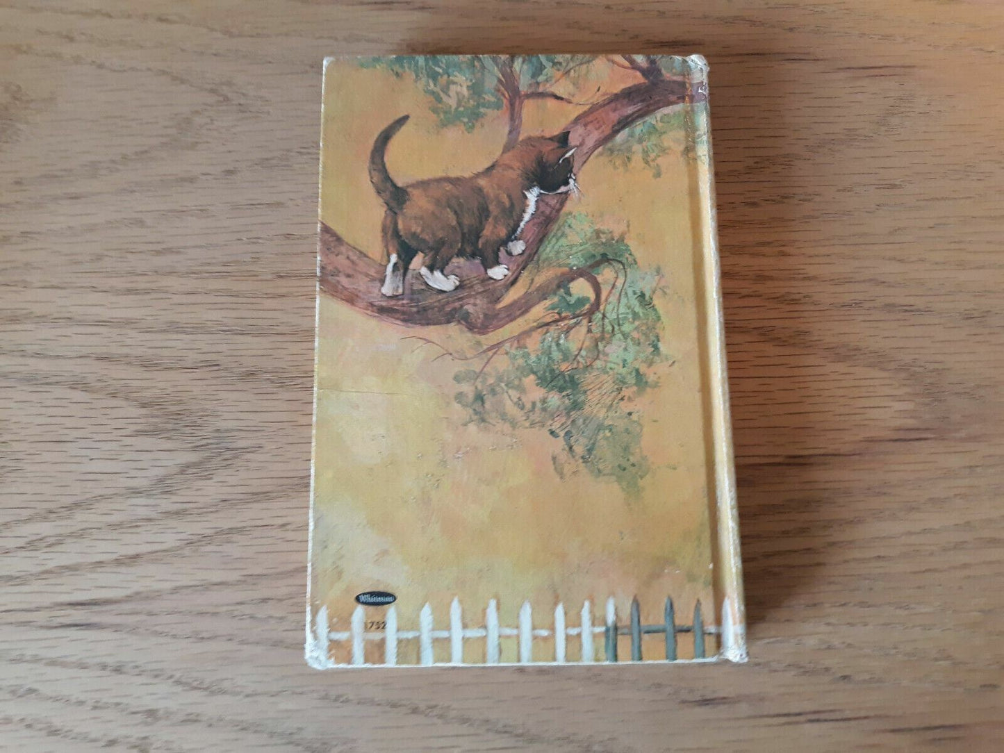 Image #6