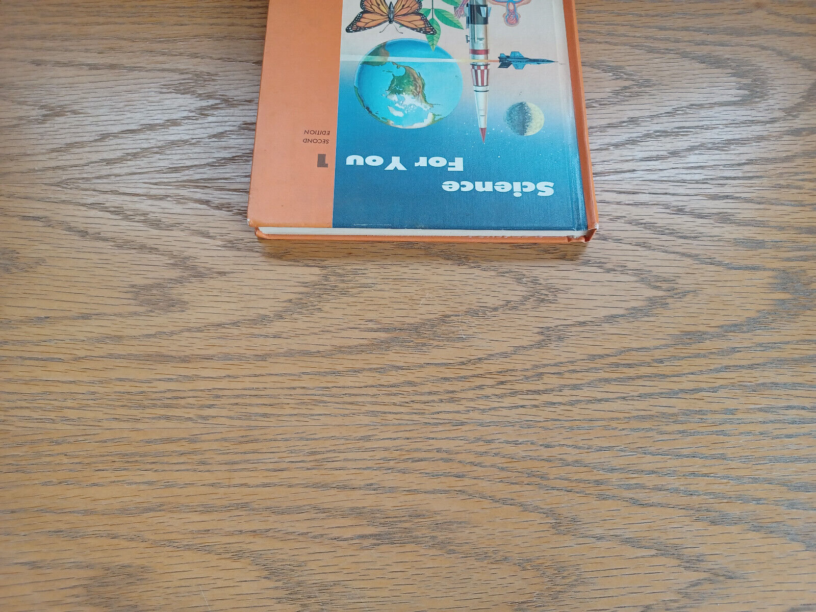 Image #4