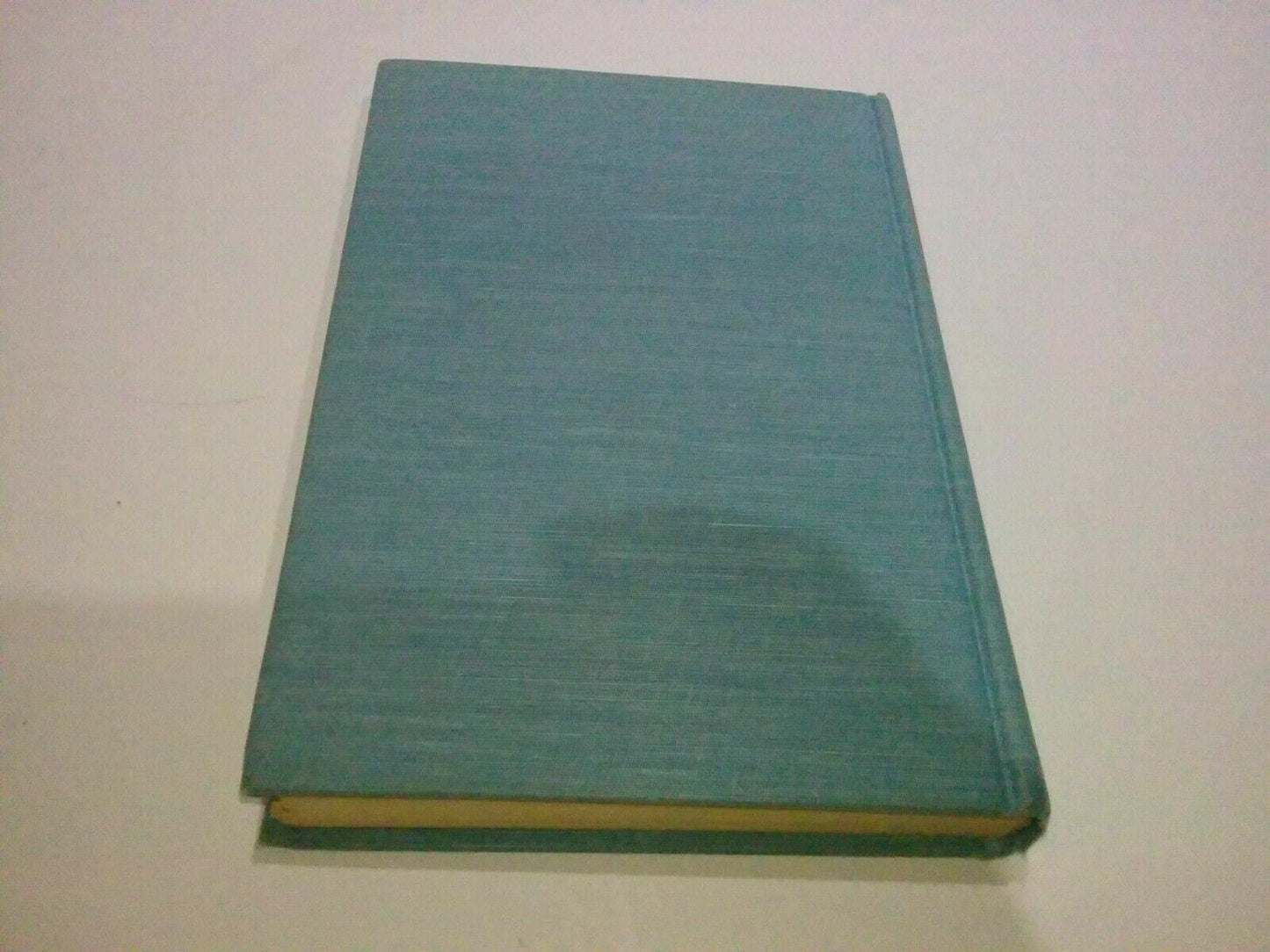 Image #7