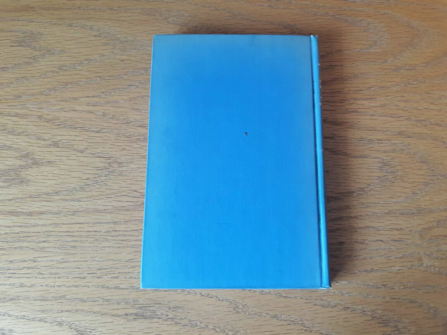 Image #6