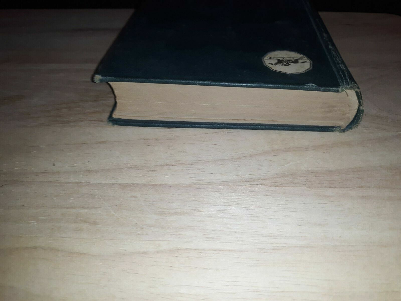 Image #4