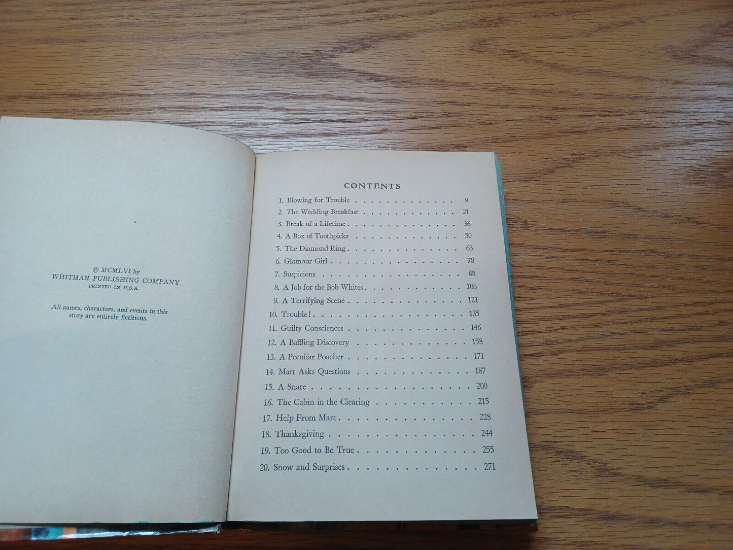 Image #8