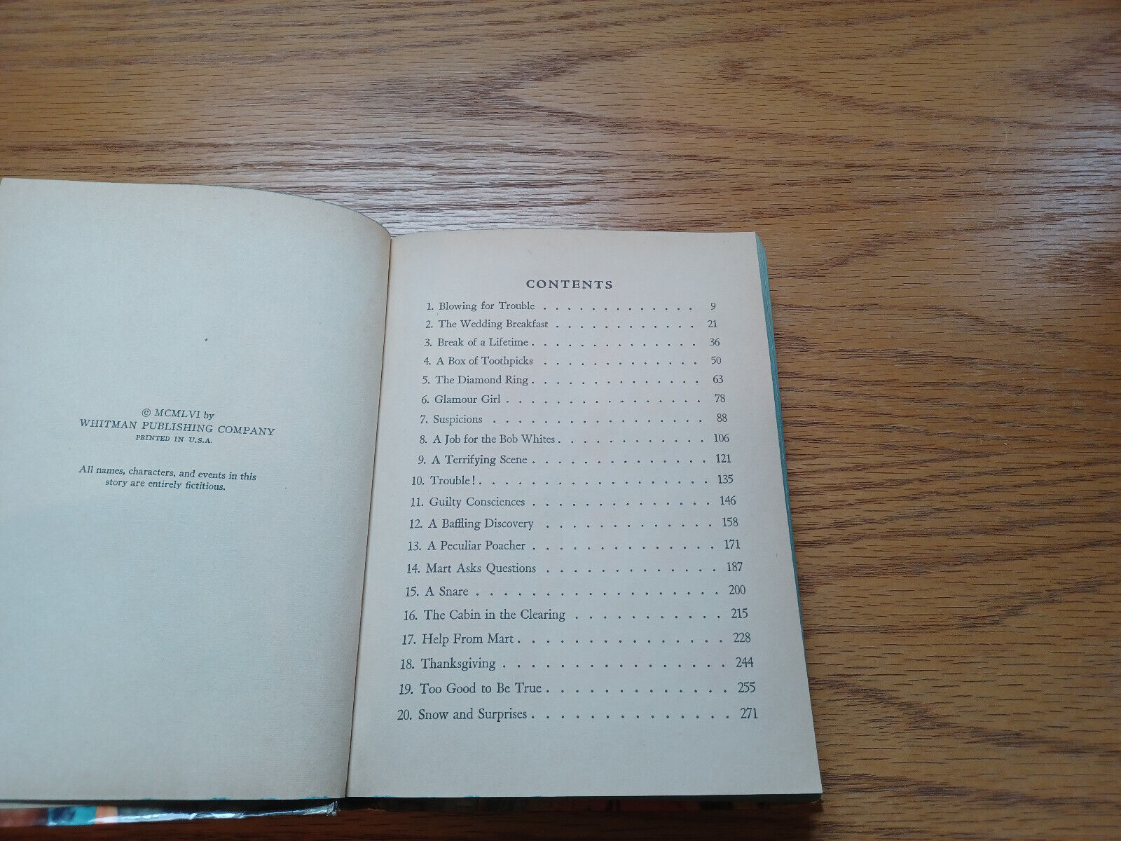 Image #8