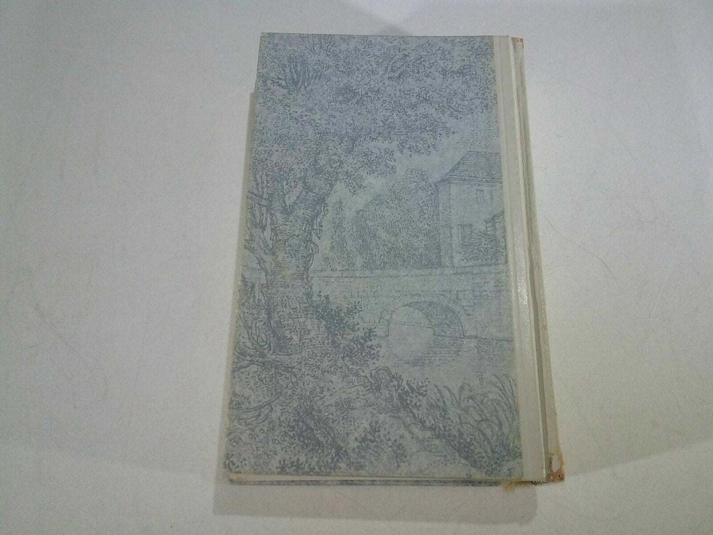 Image #6