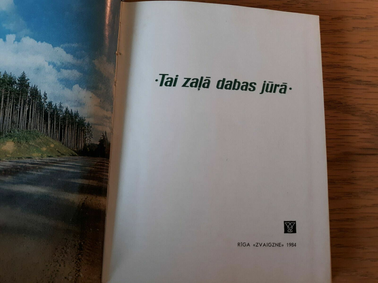 Image #7