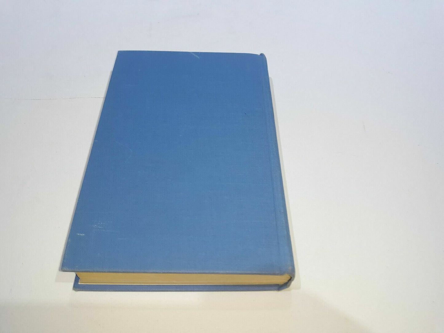 Image #8