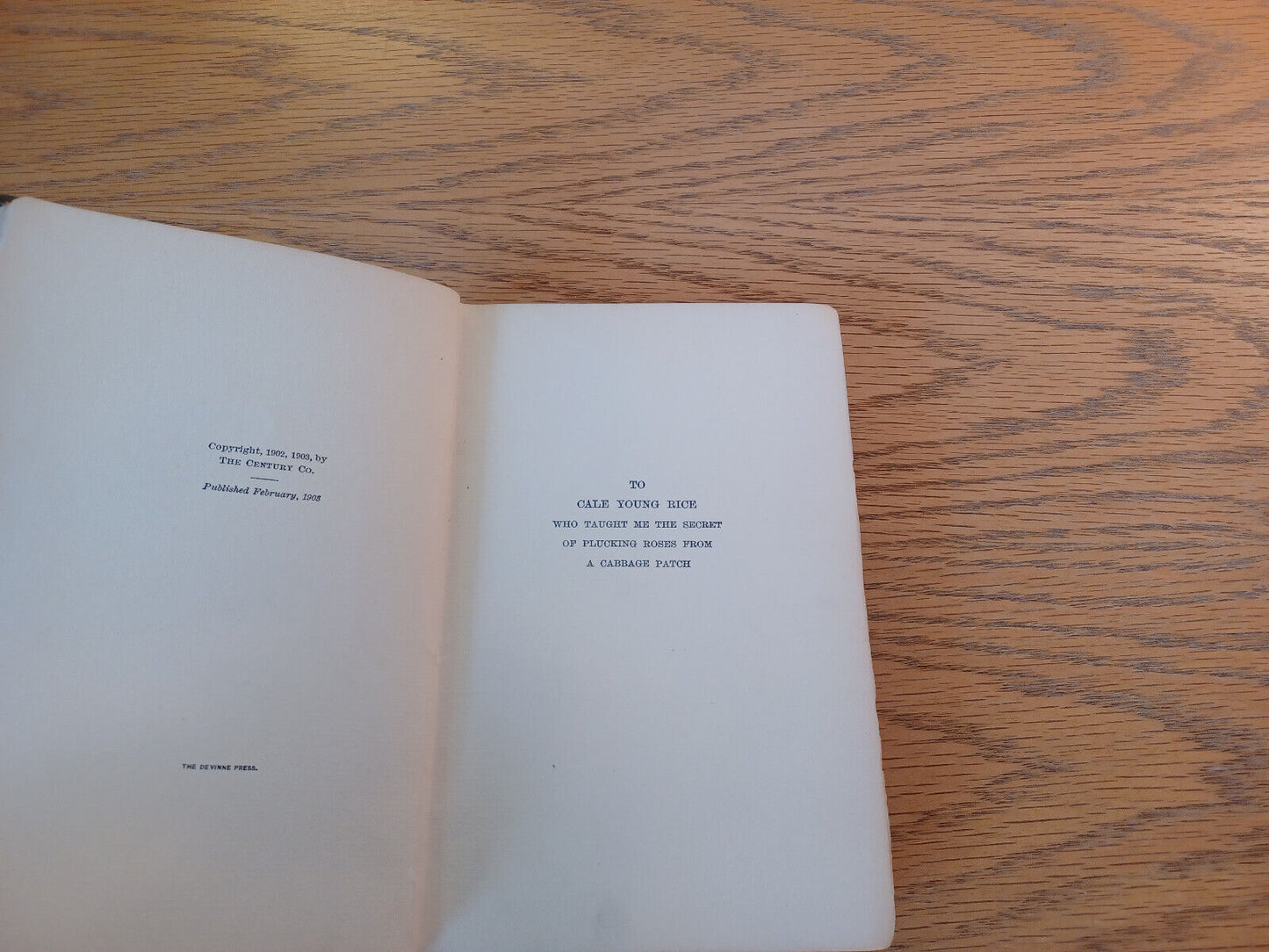 Image #8