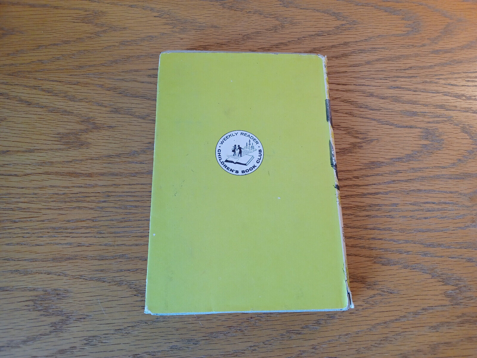 Image #6