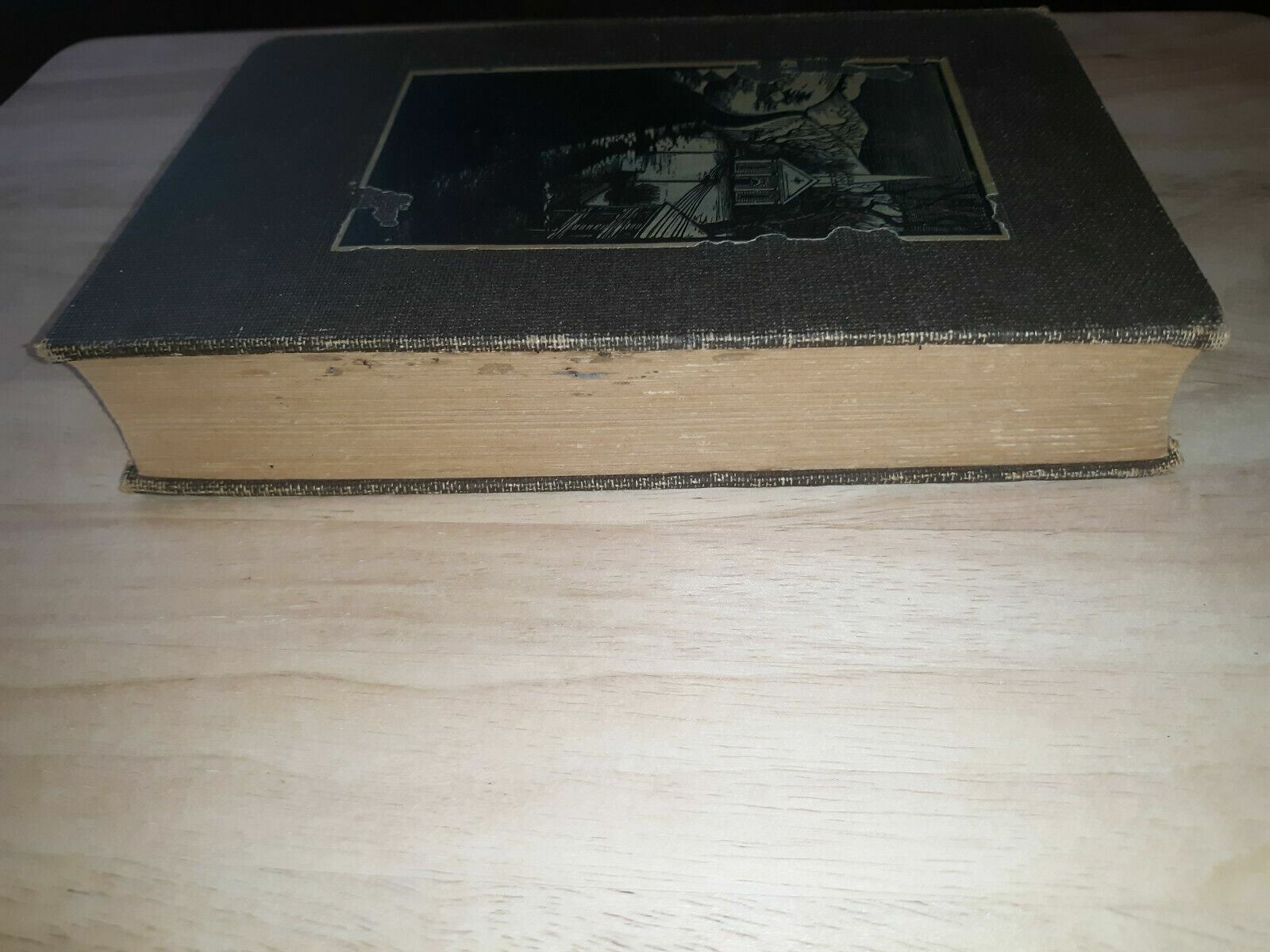 Image #3