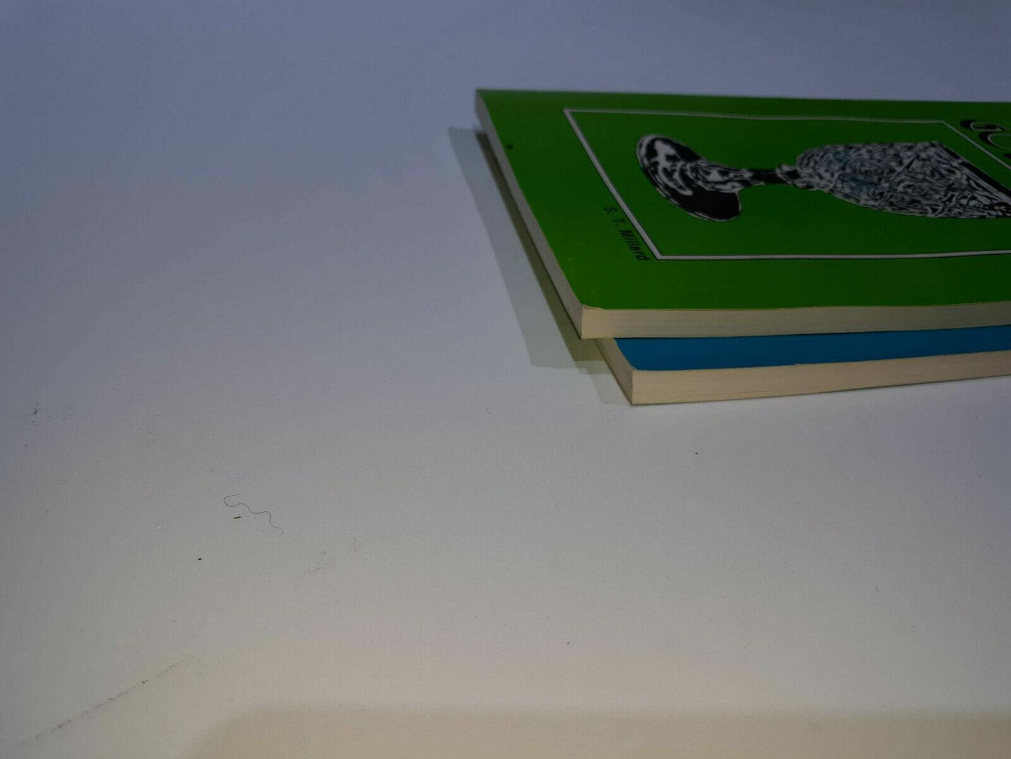 Image #6