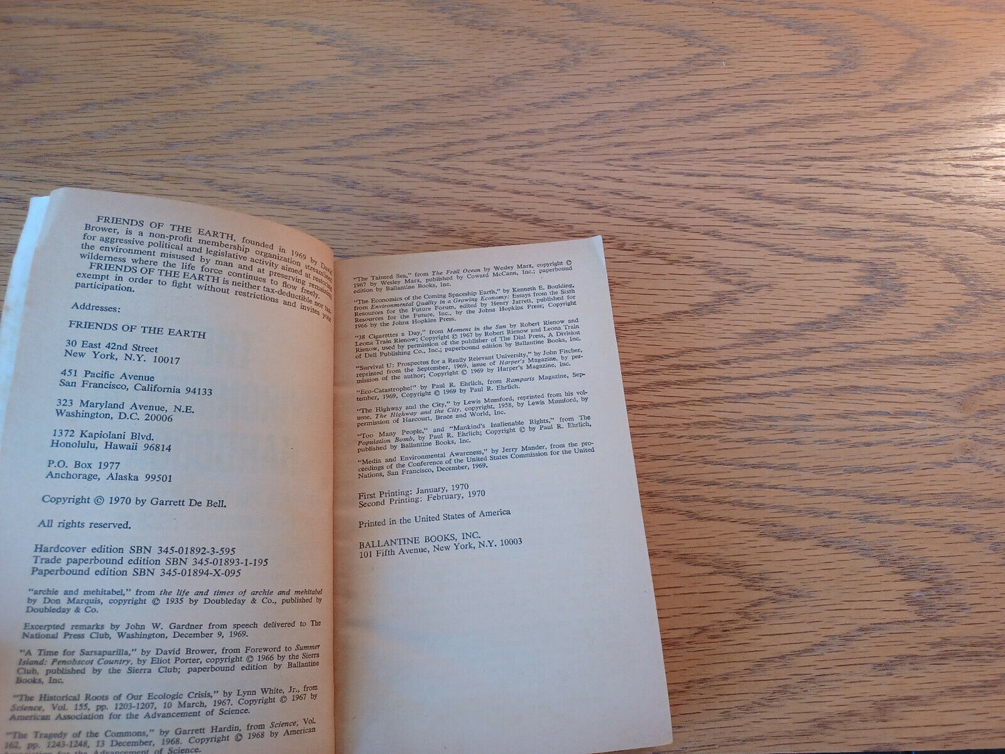 Image #8
