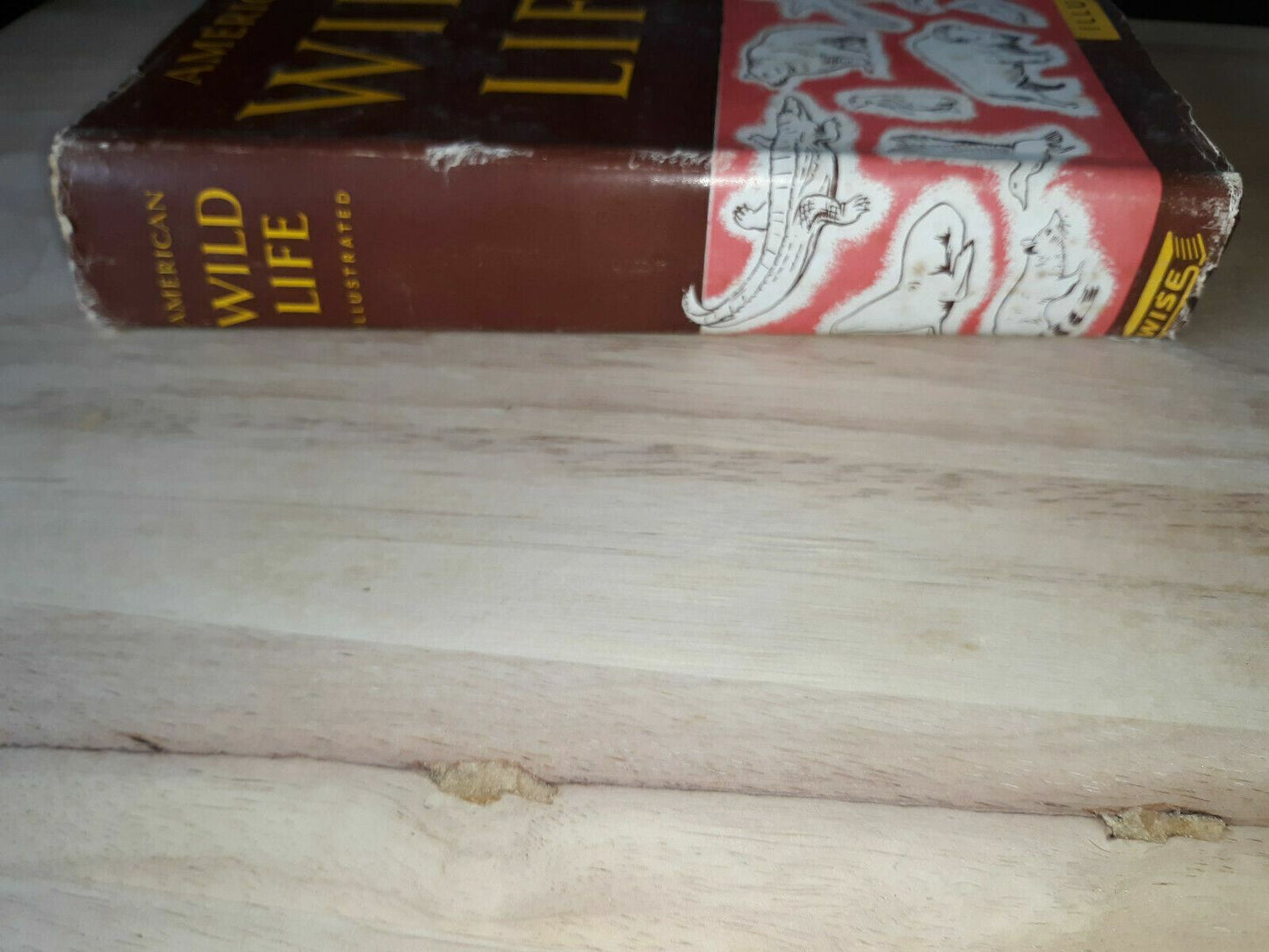 Image #5