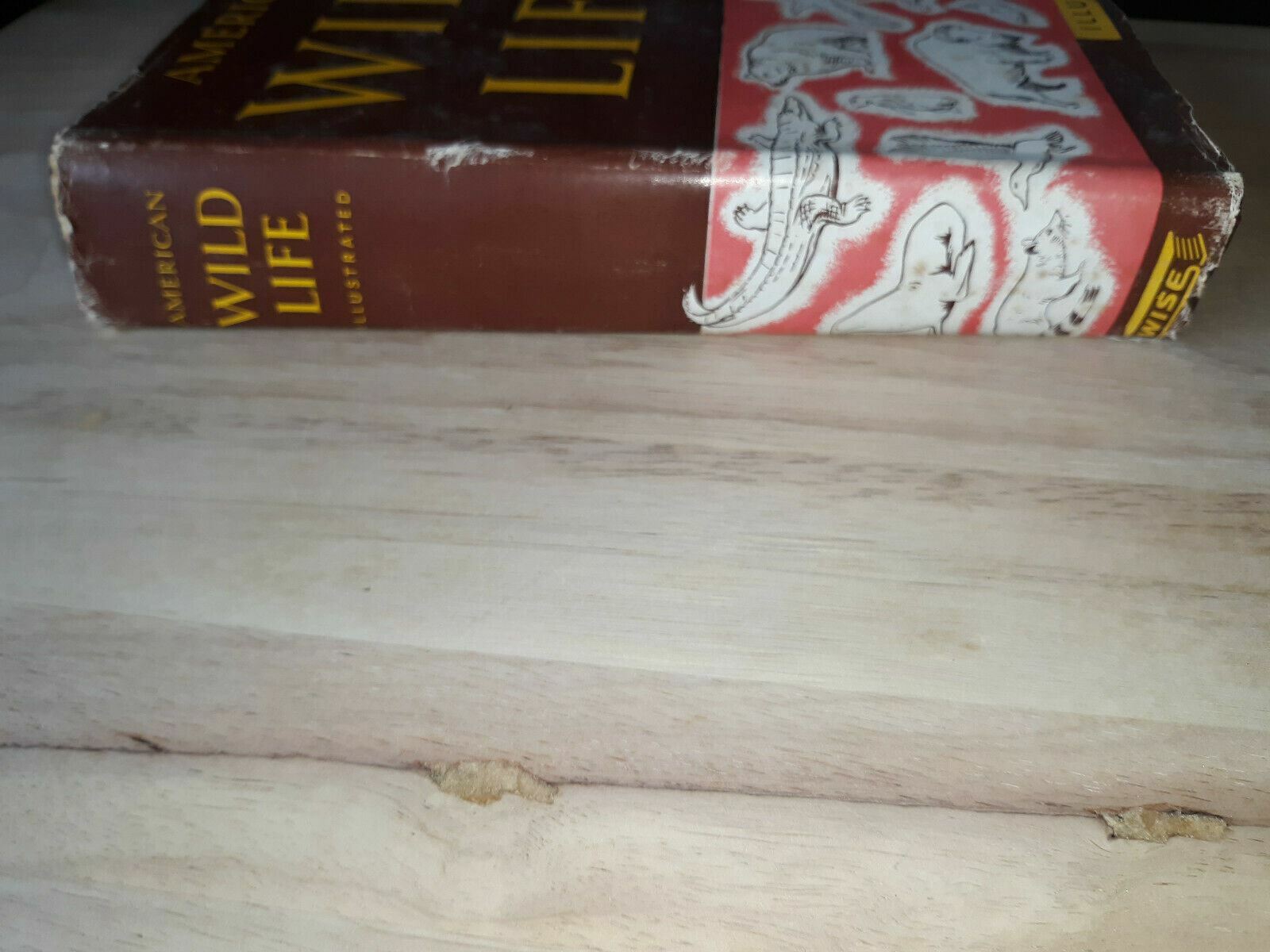 Image #5