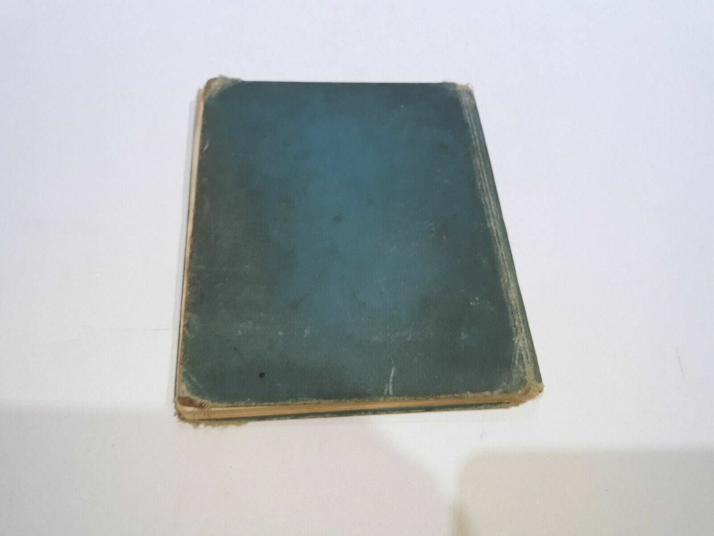Image #7