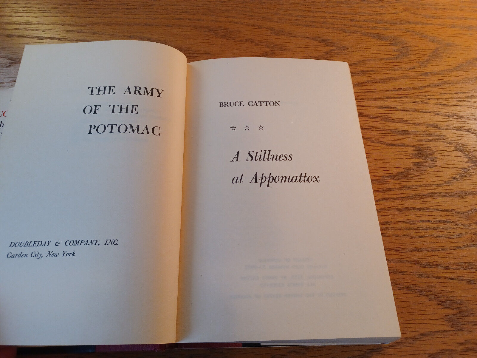 Image #8