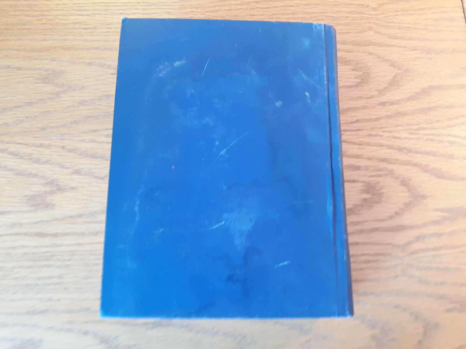 Image #6