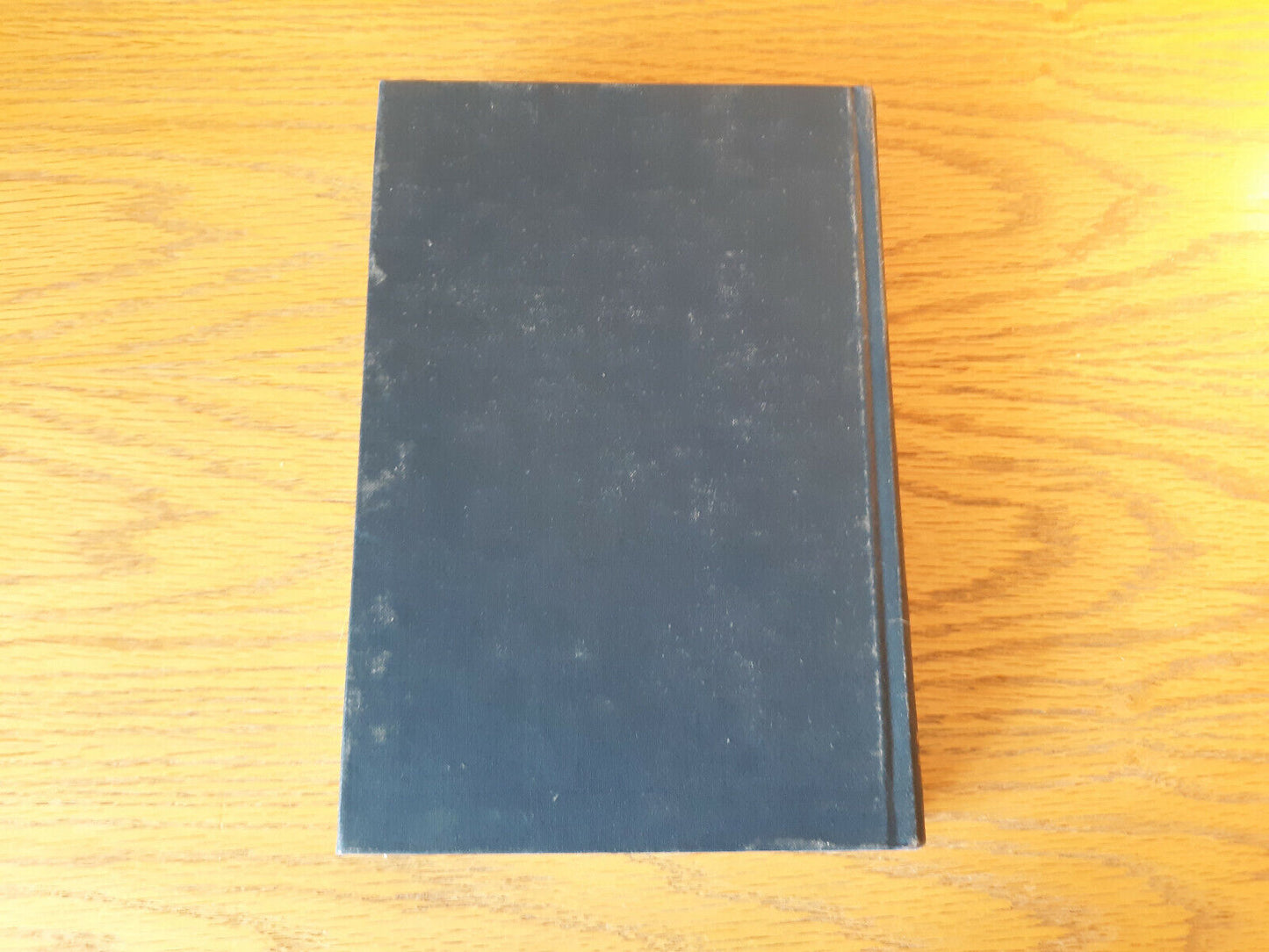 Image #6