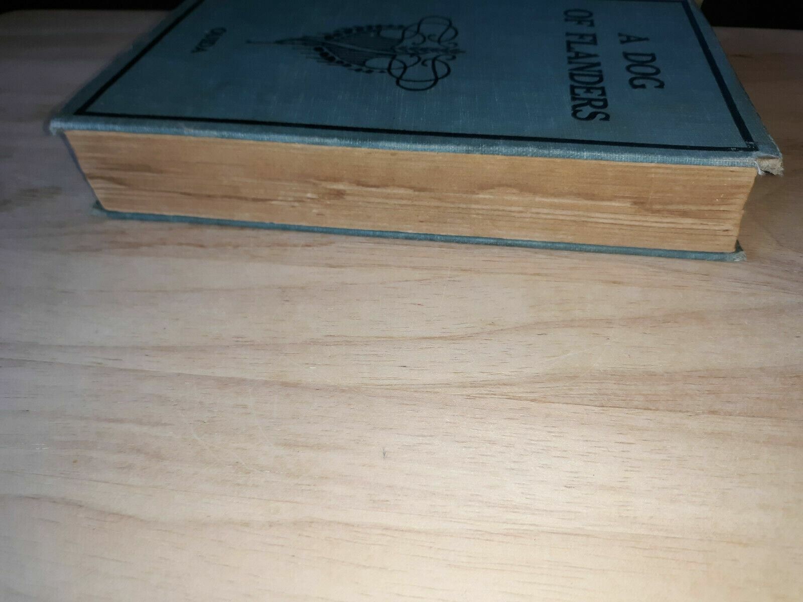 Image #3