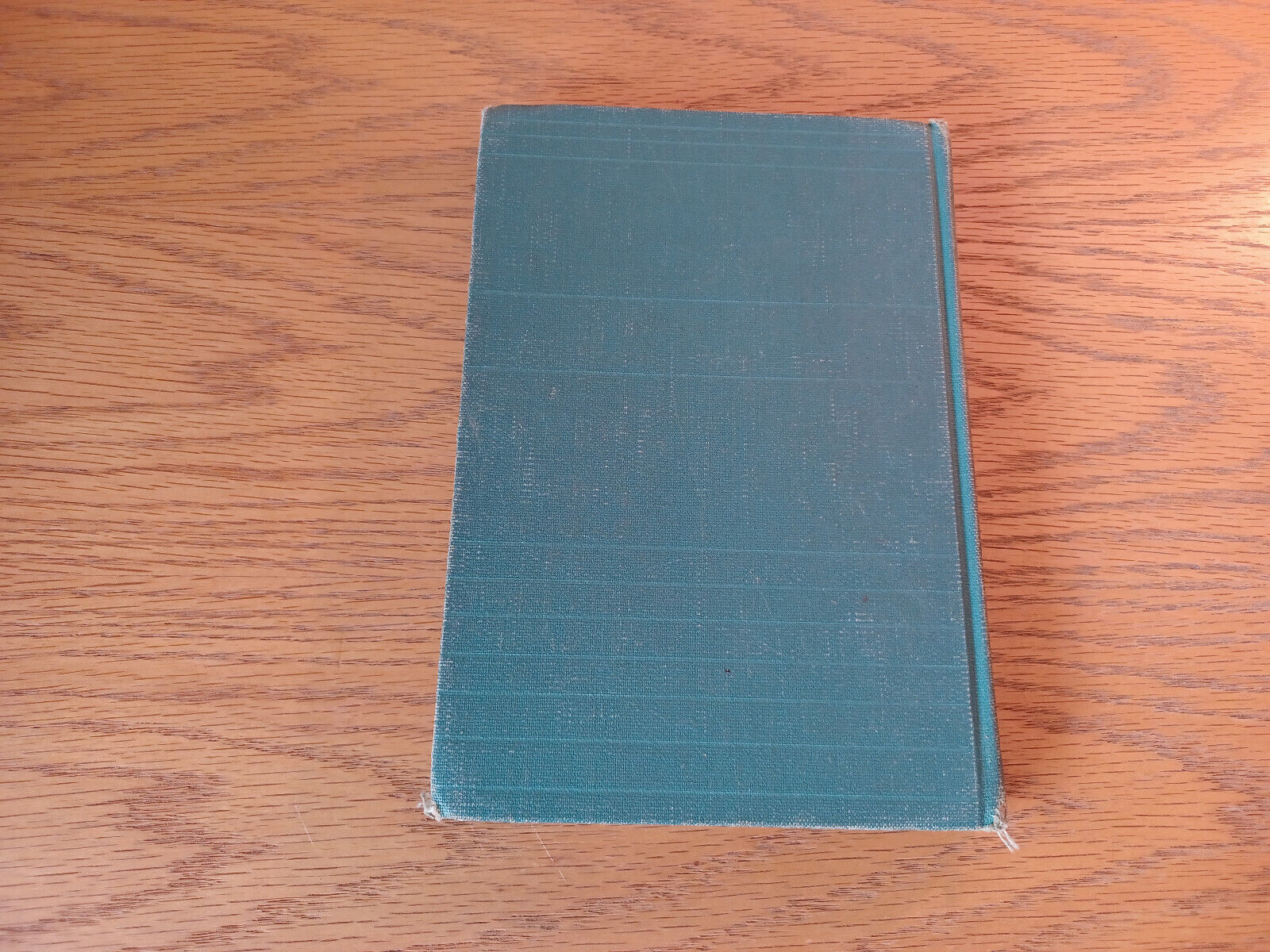 Image #6