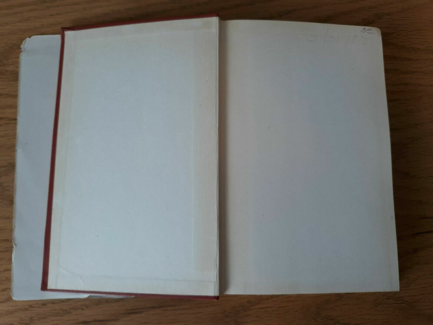 Image #7