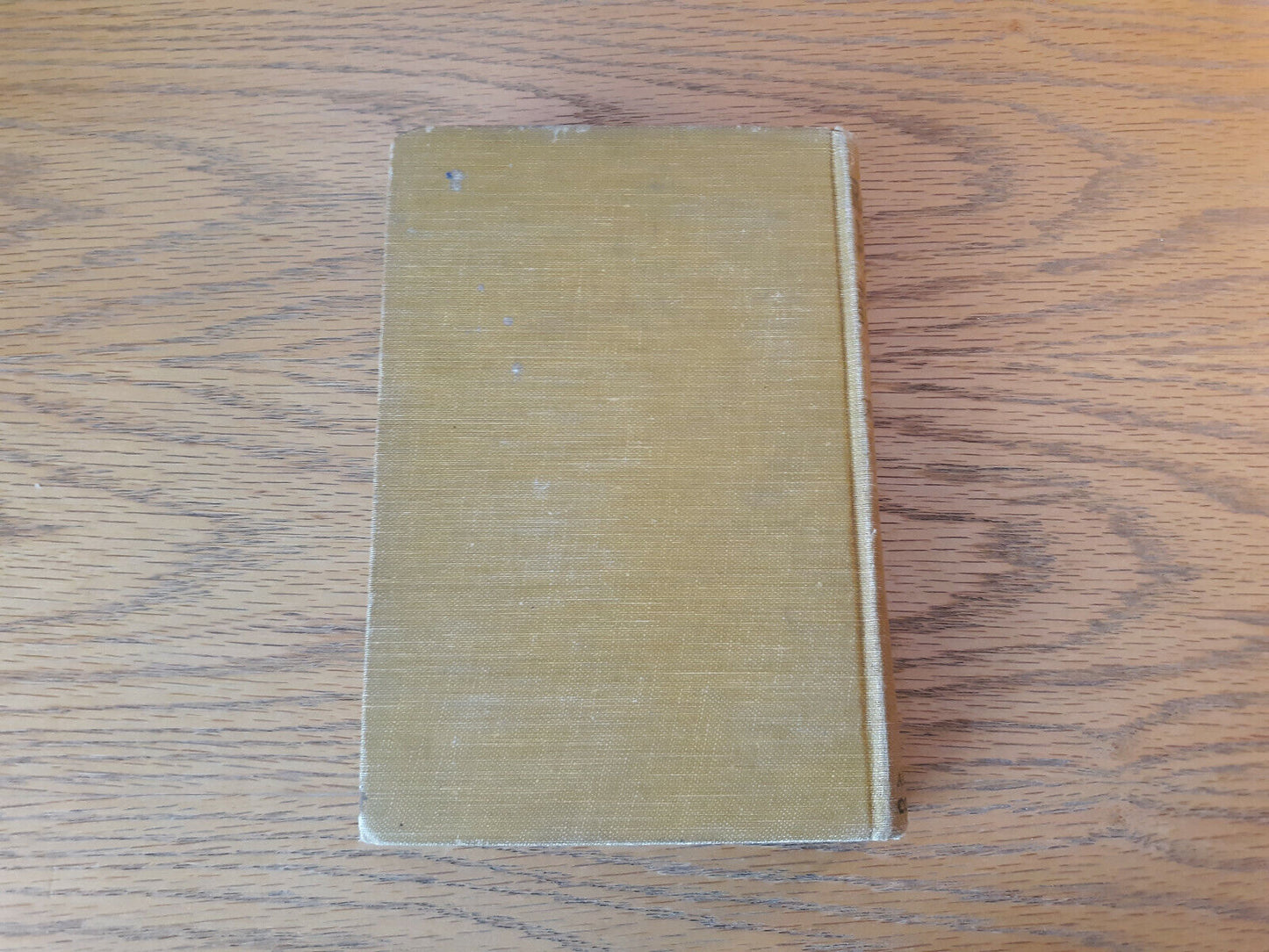 Image #6