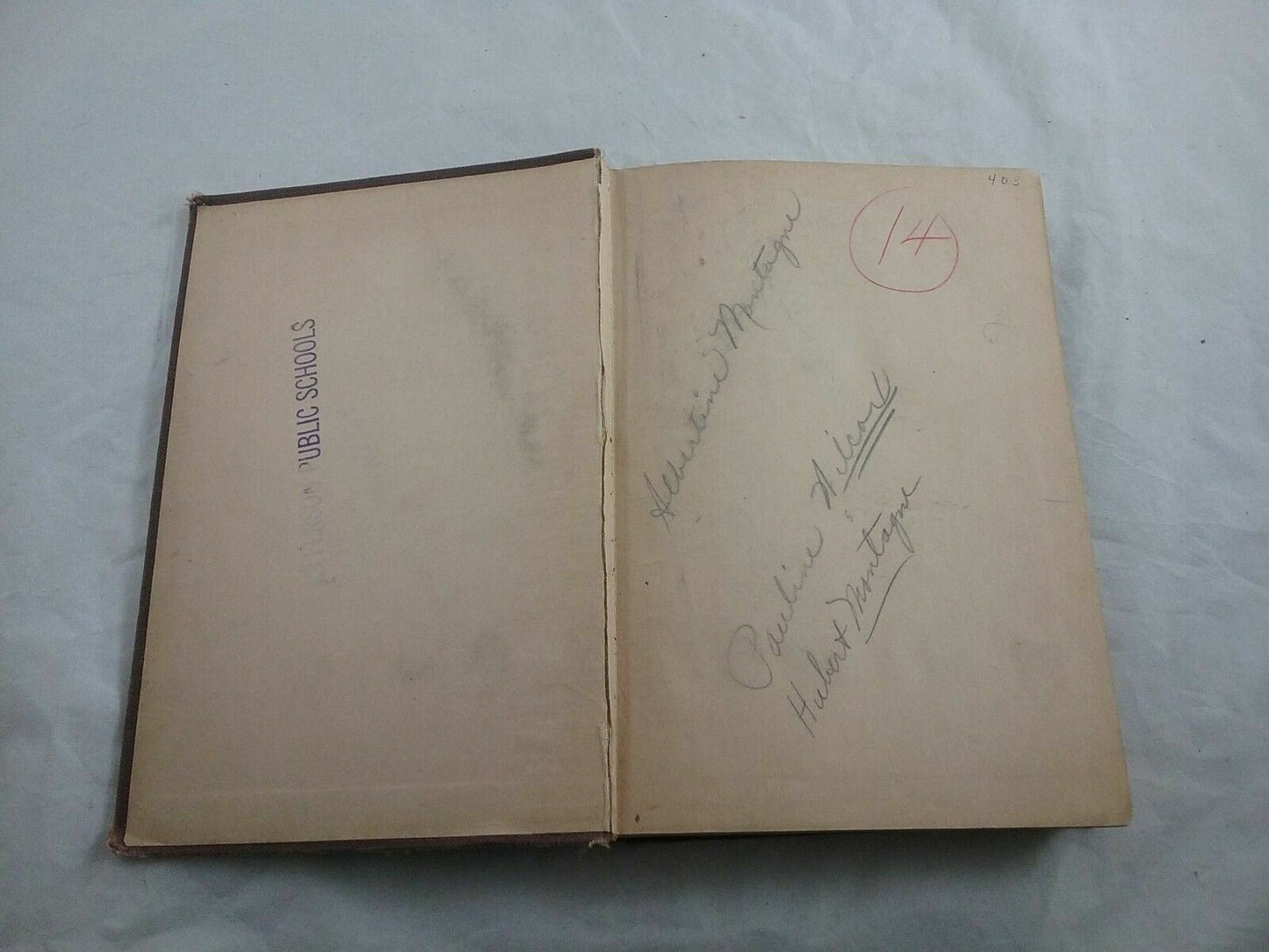 Image #4