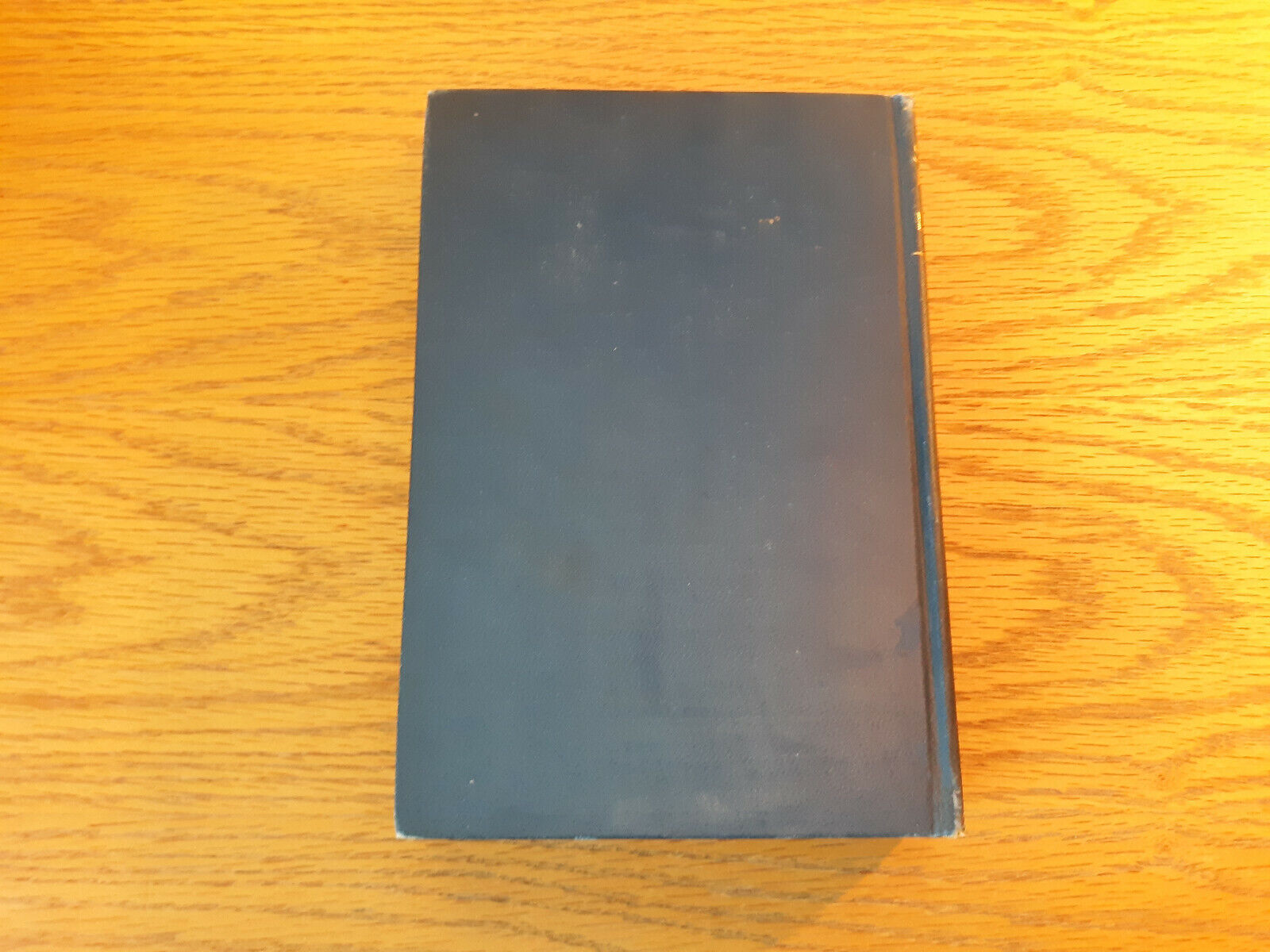 Image #6