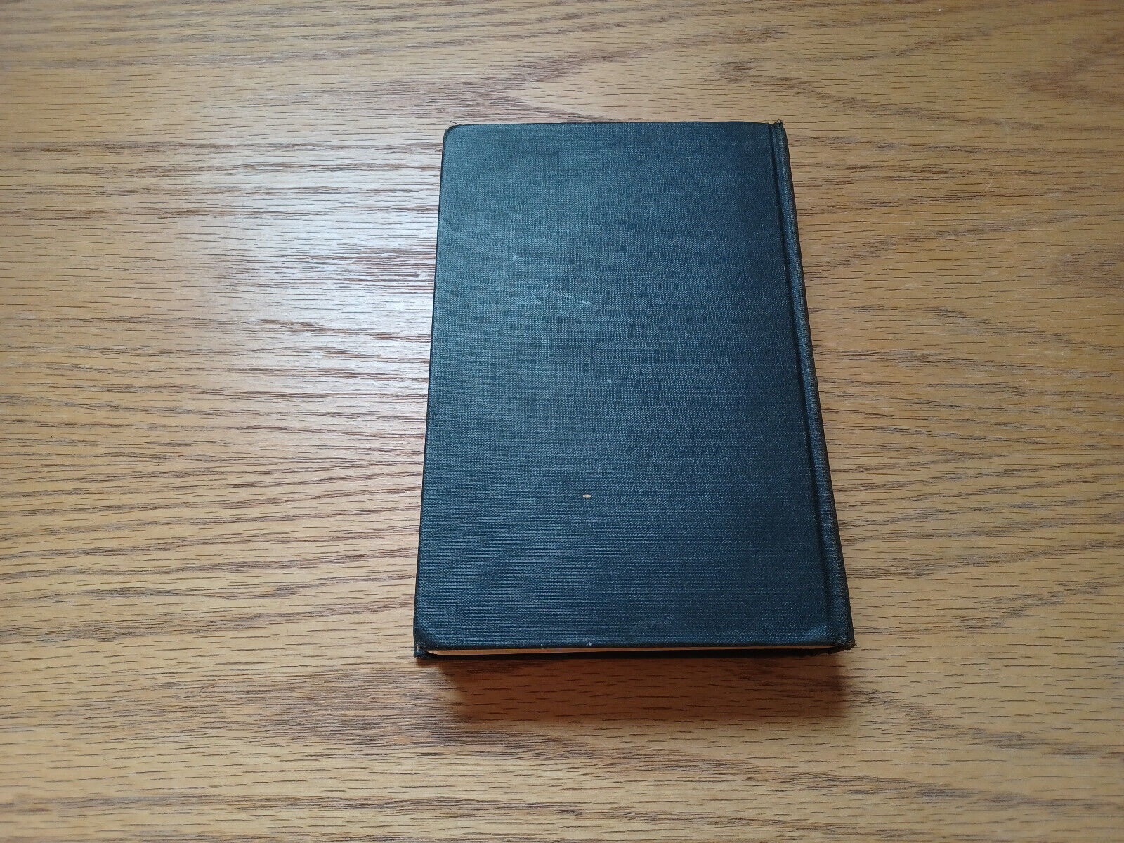 Image #6