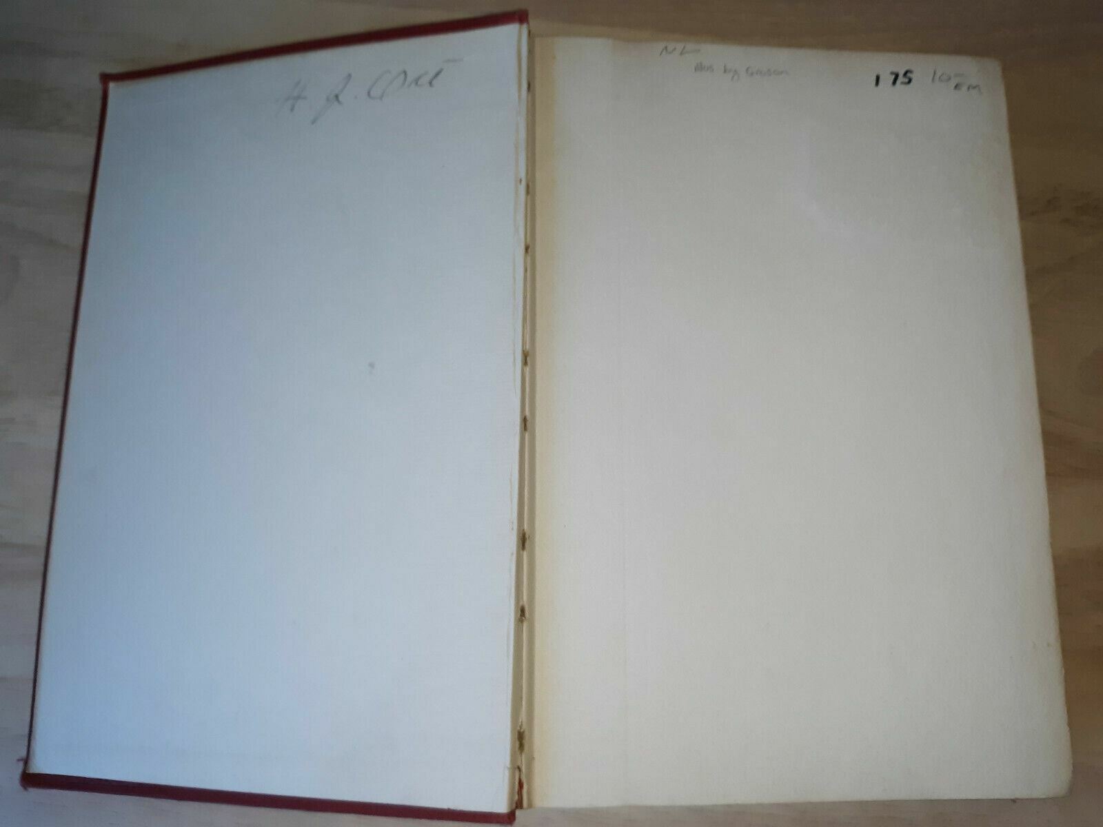 Image #7