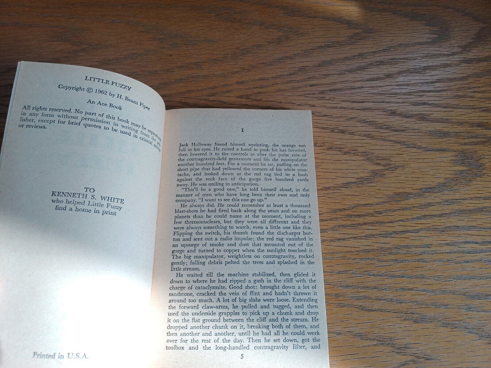 Image #8