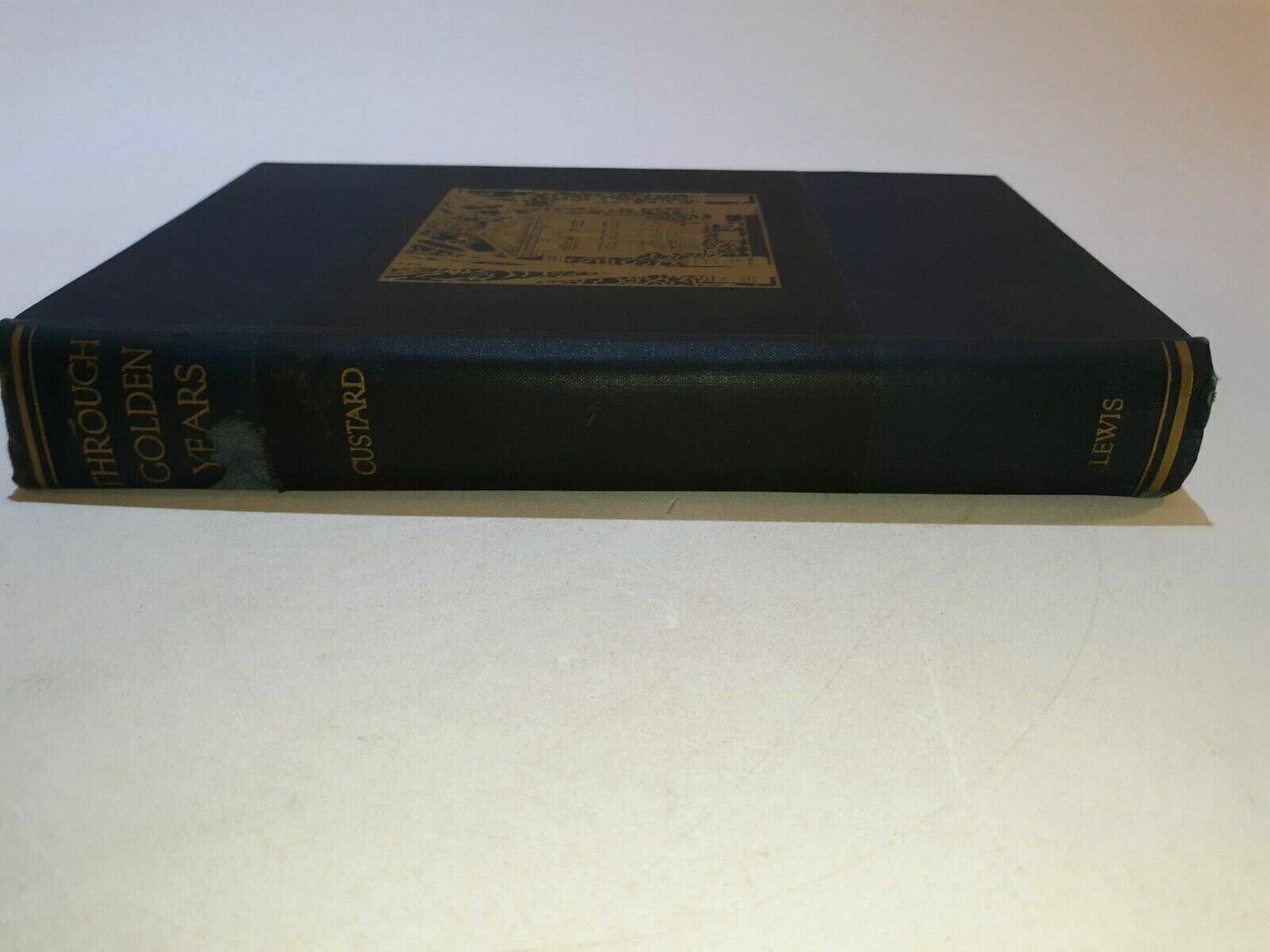 Image #4
