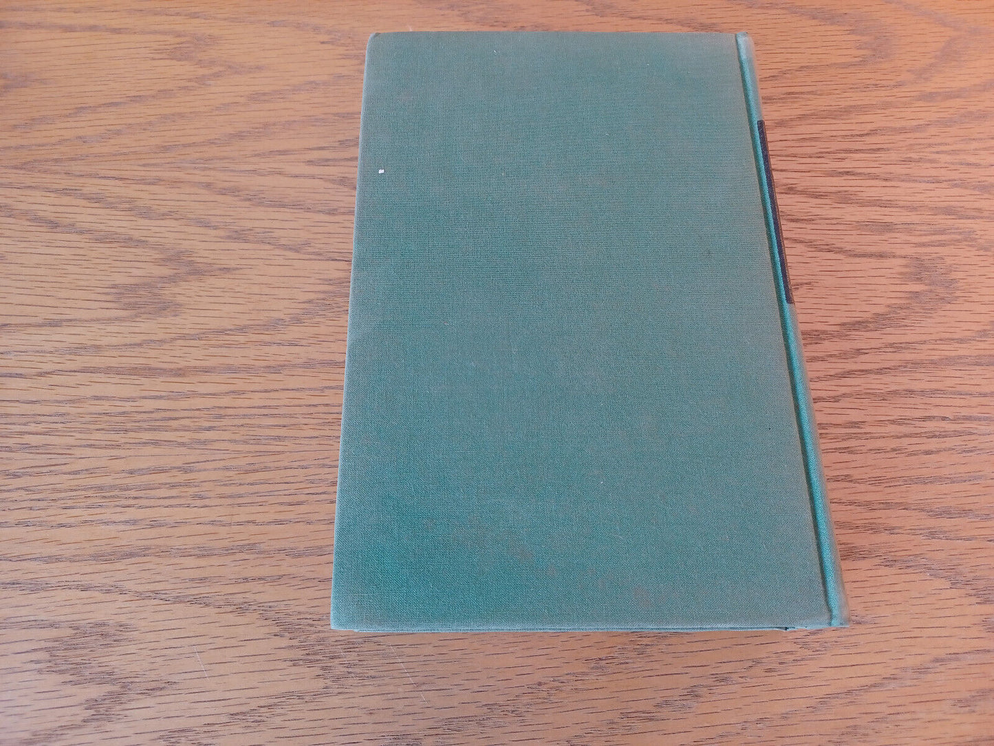 Image #6