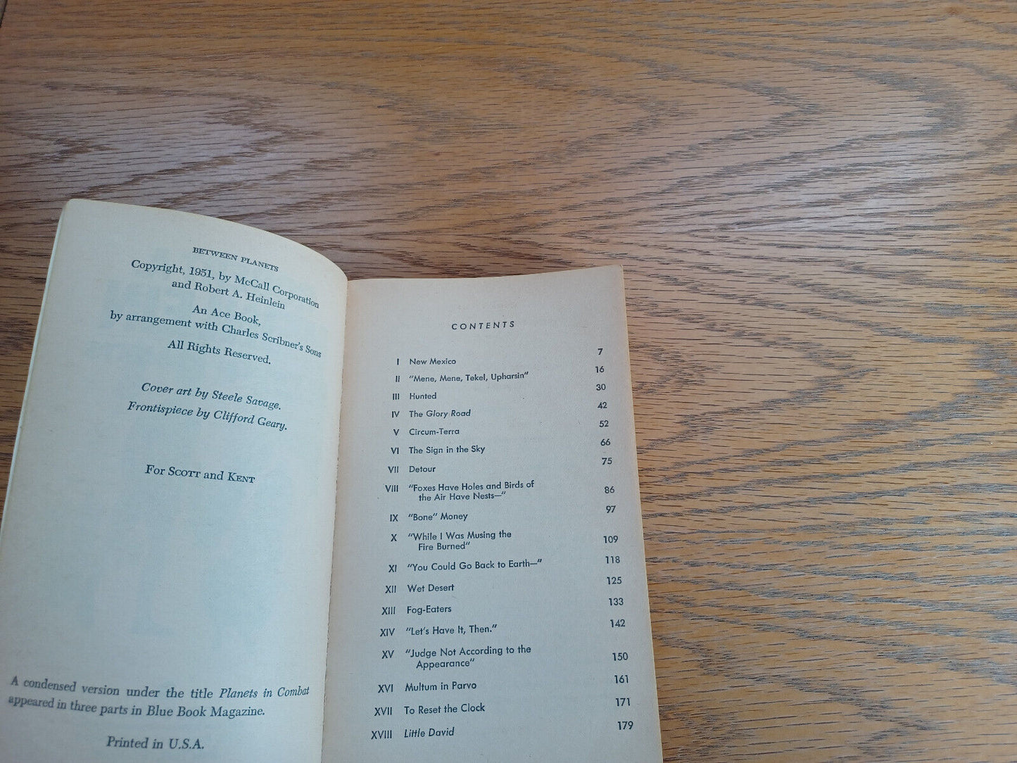 Image #8