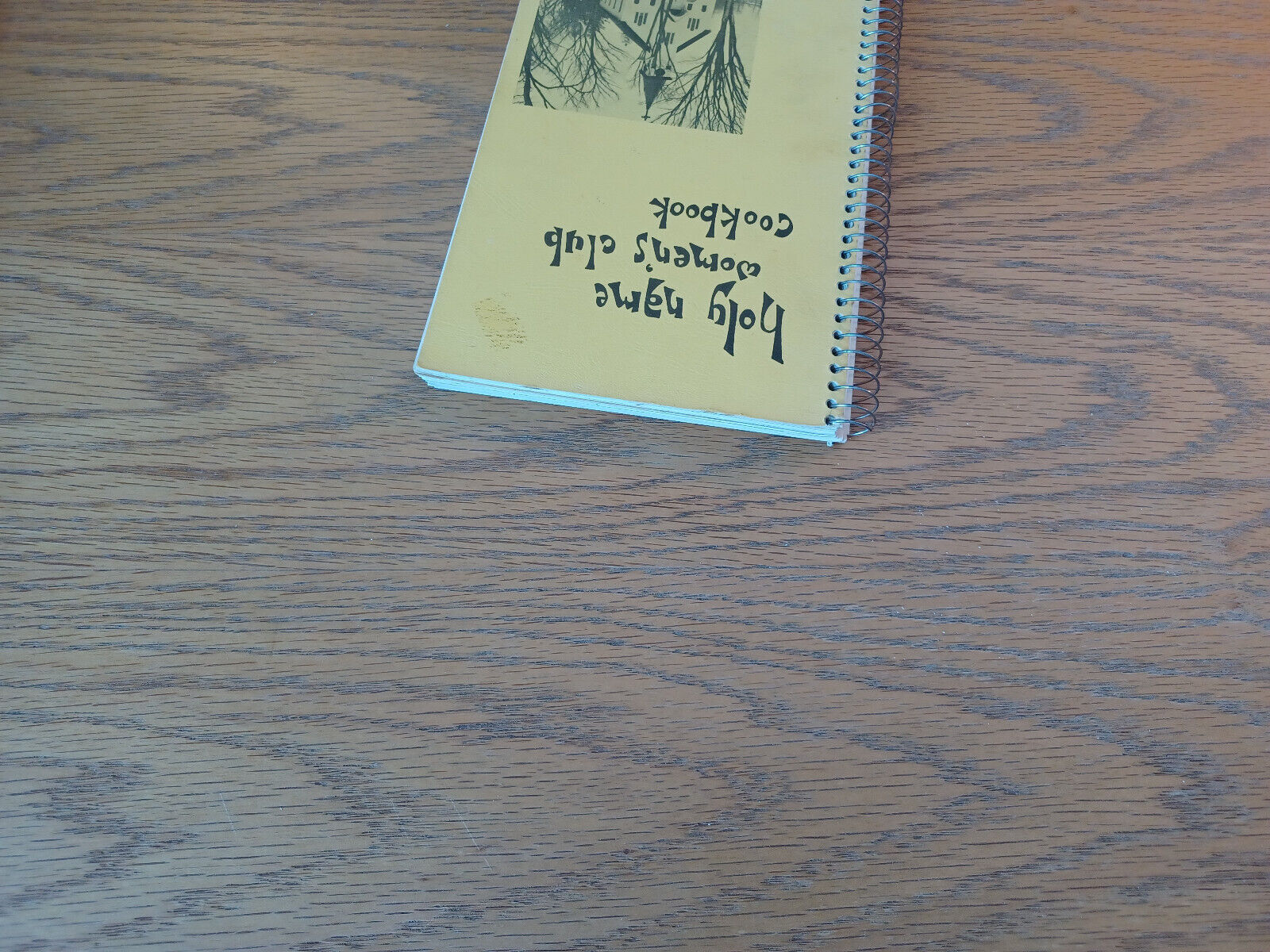 Image #4