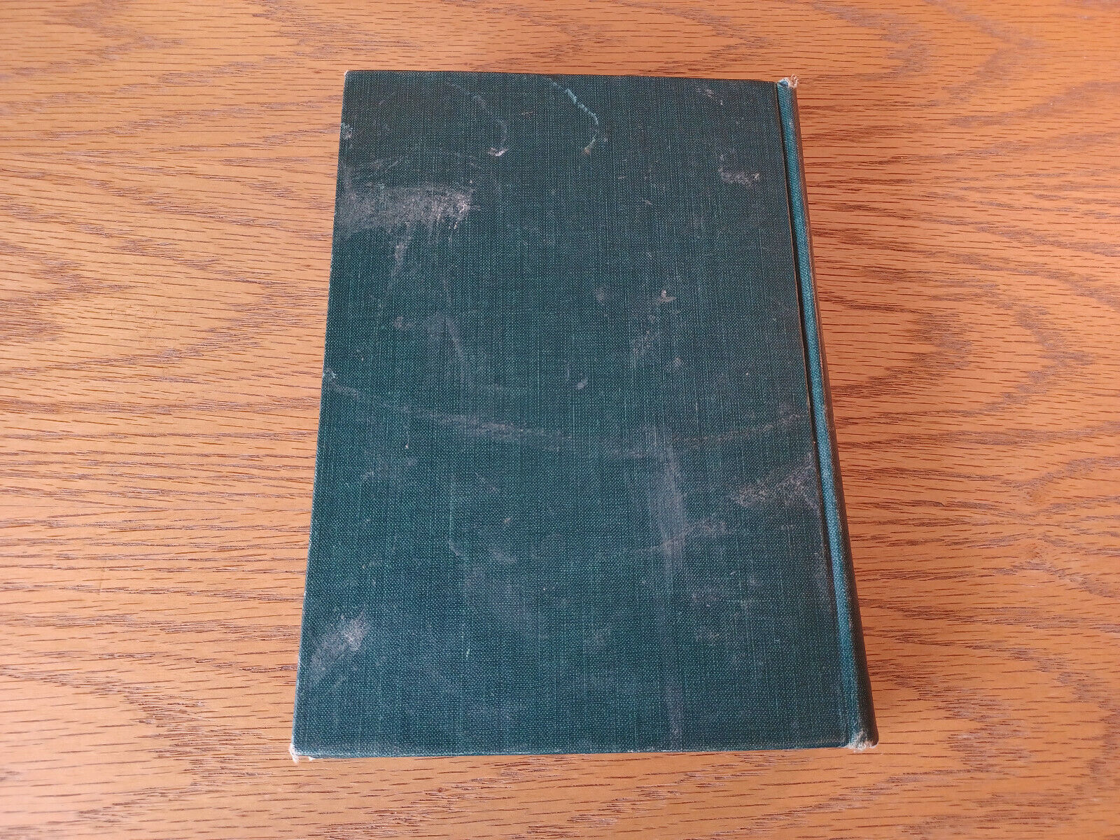 Image #6