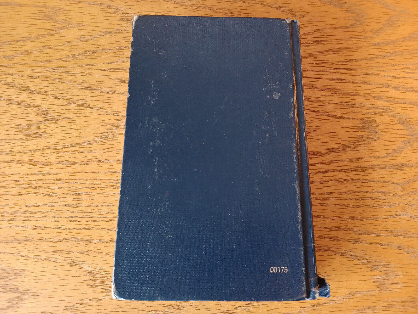 Image #6