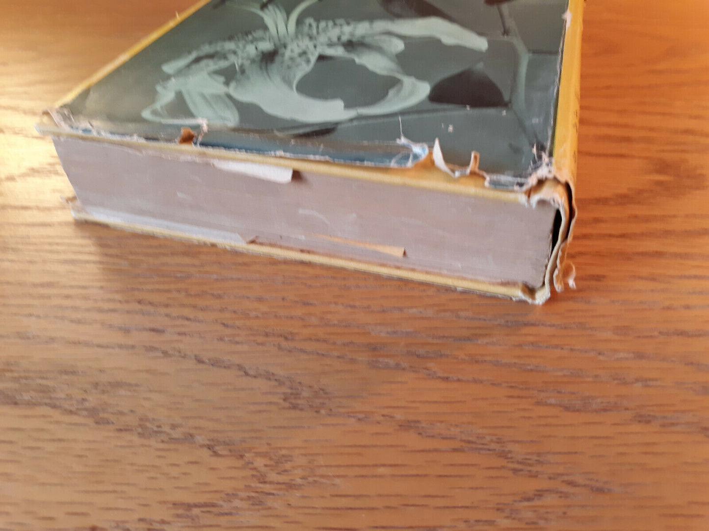 Image #4