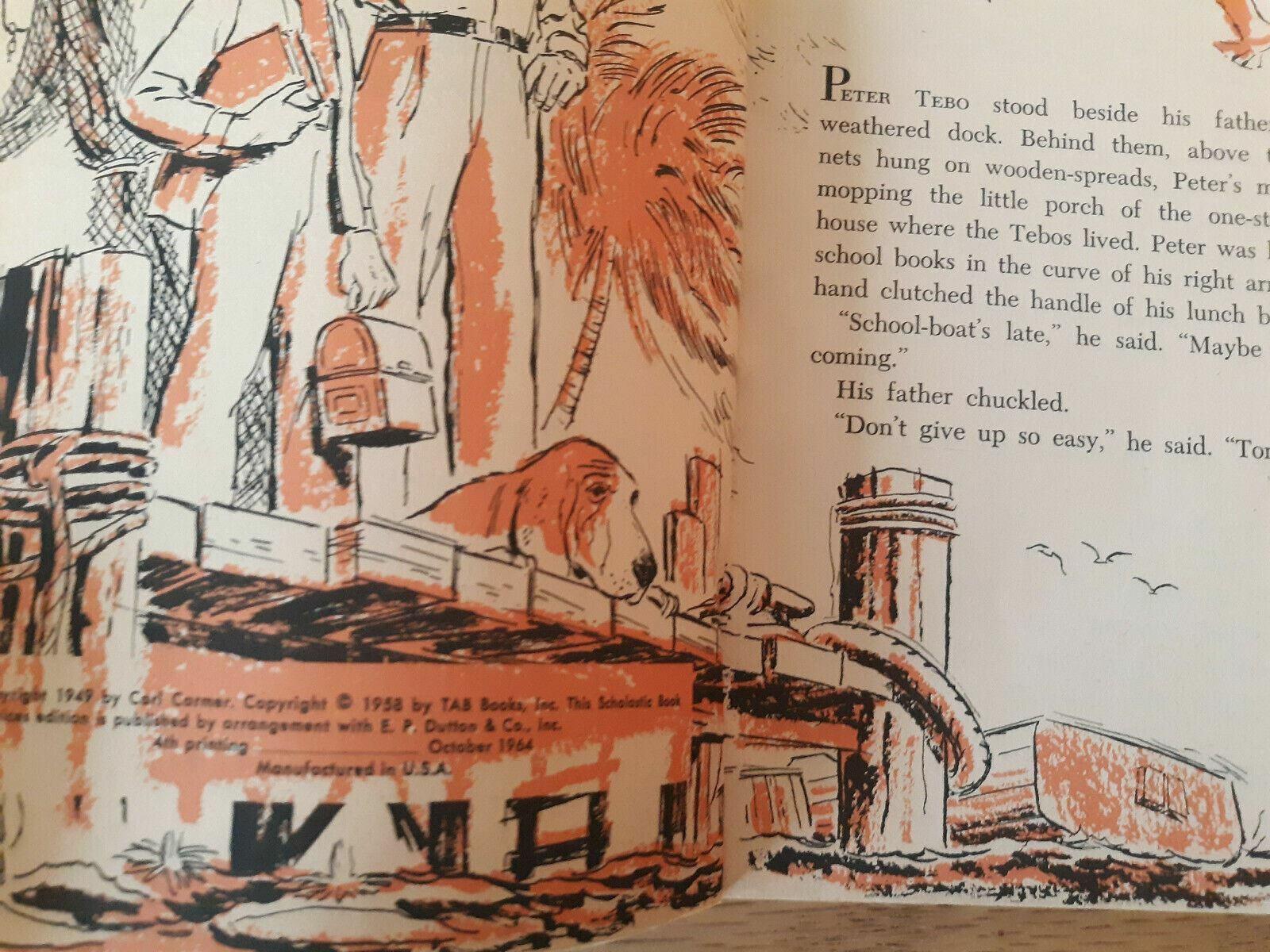 Image #5