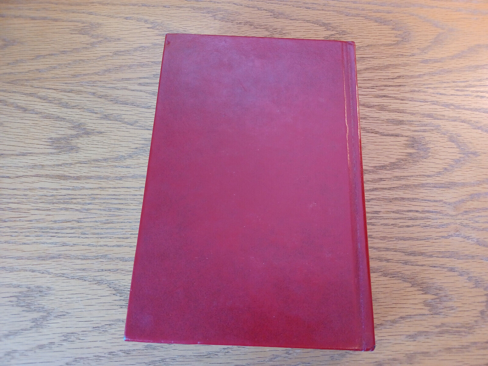 Image #6