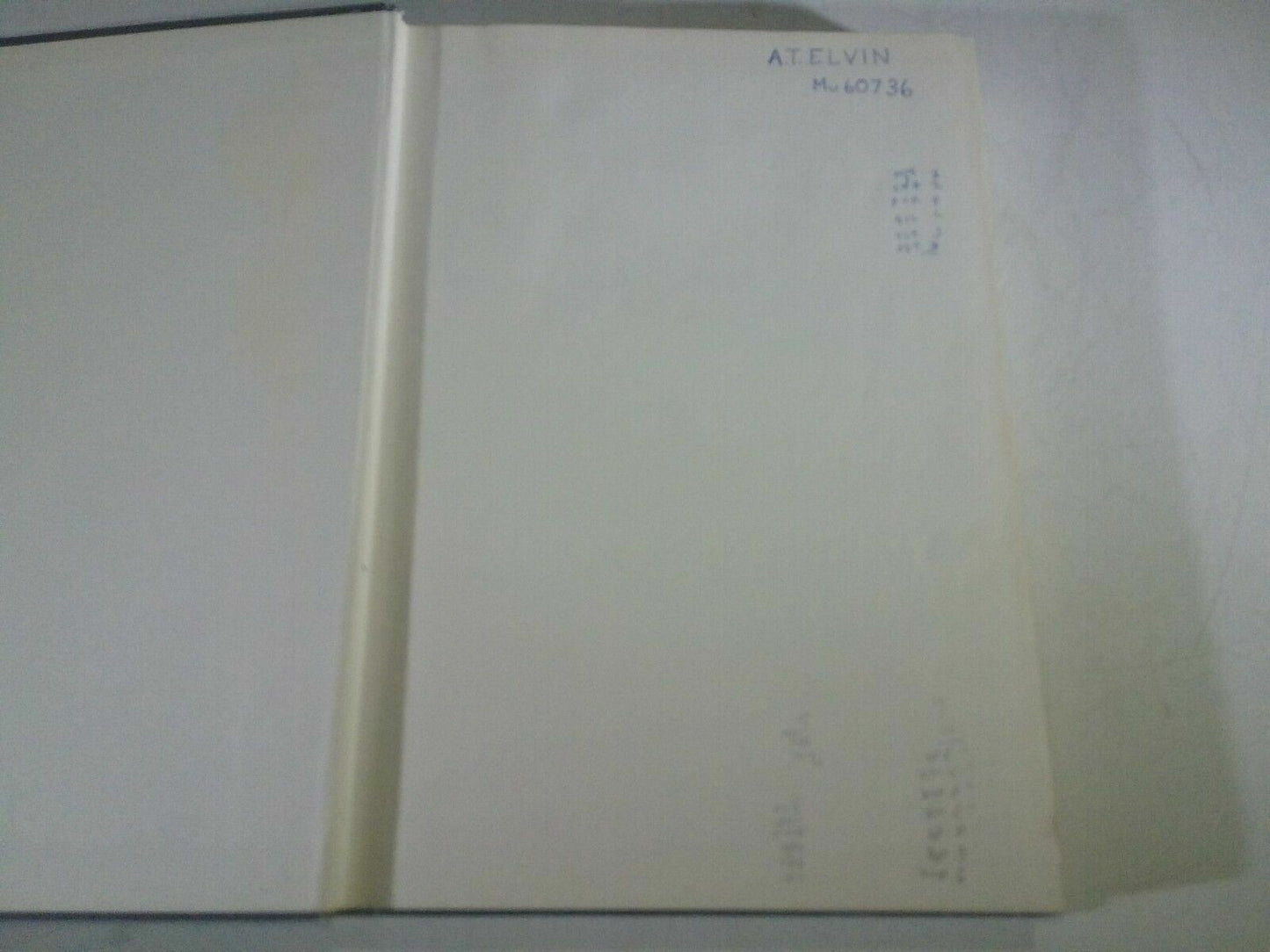 Image #6