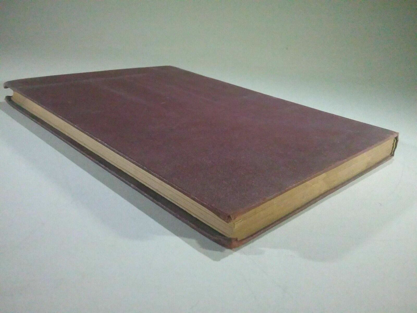 Image #5