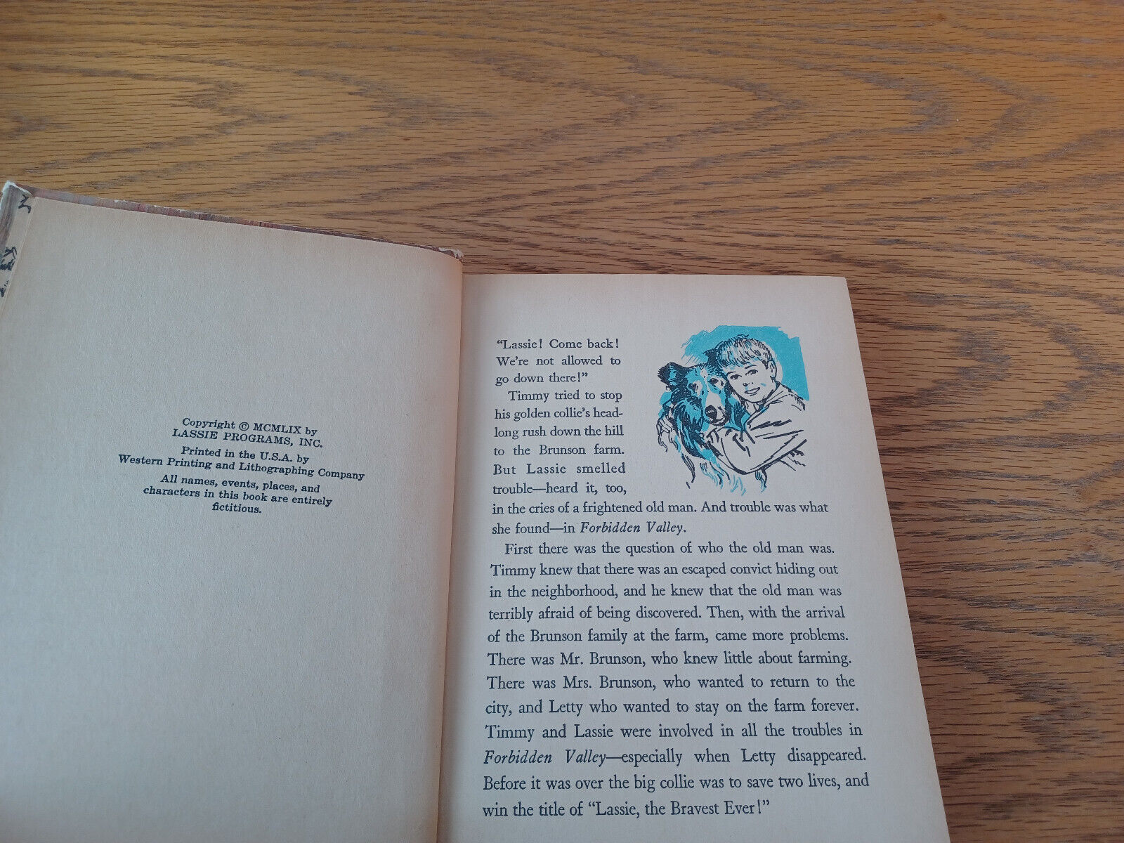 Image #8