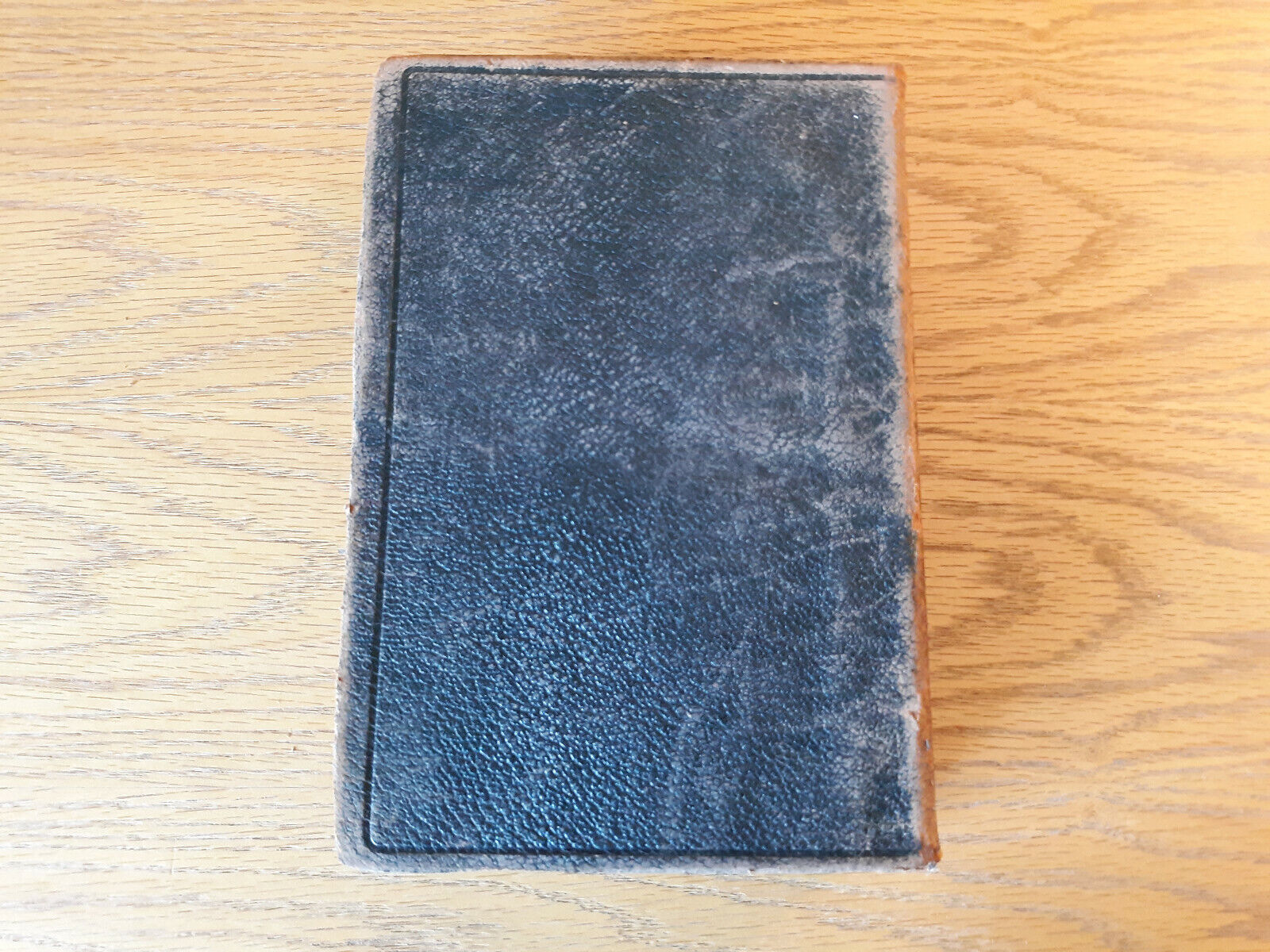 Image #6