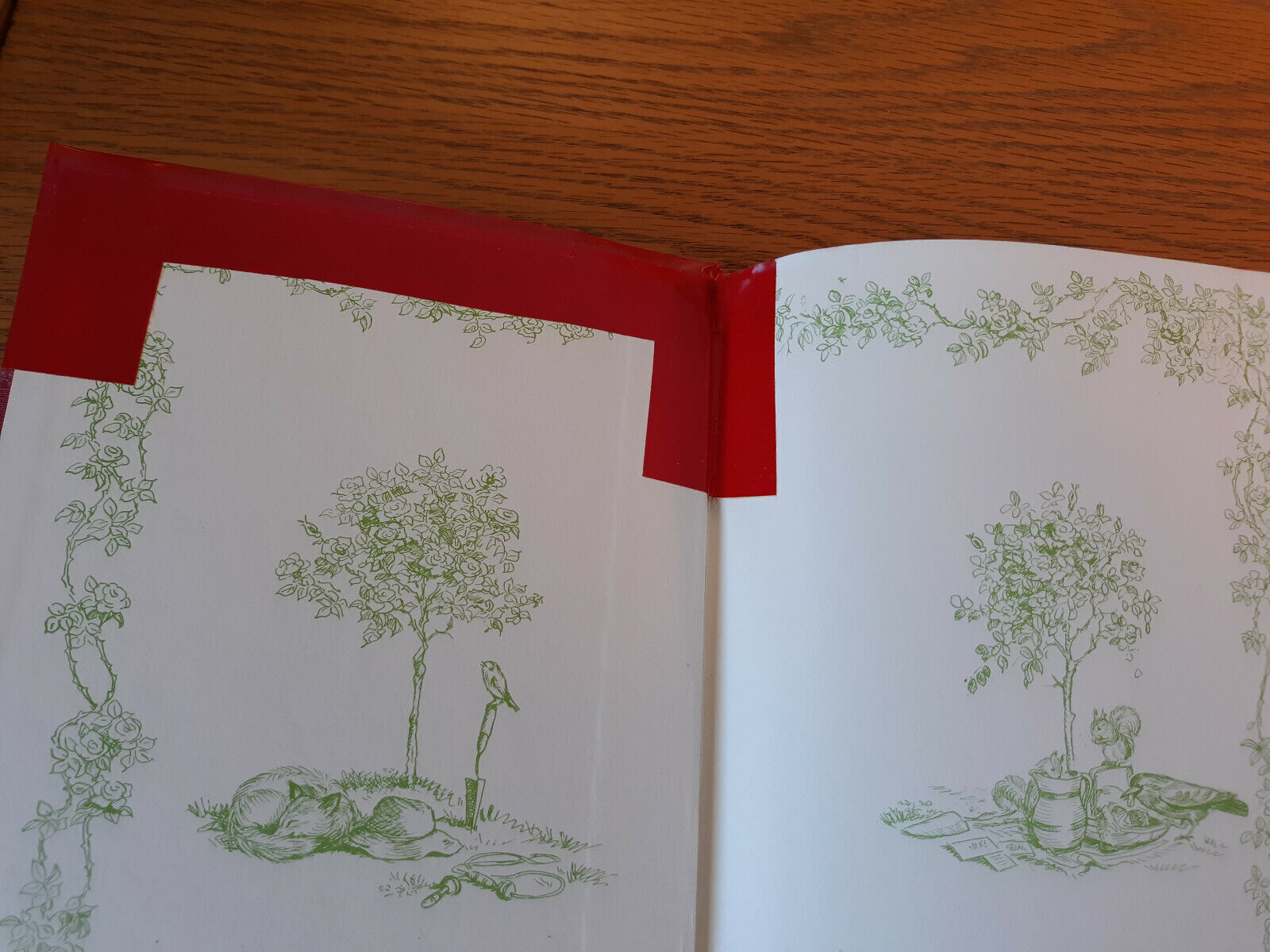Image #7