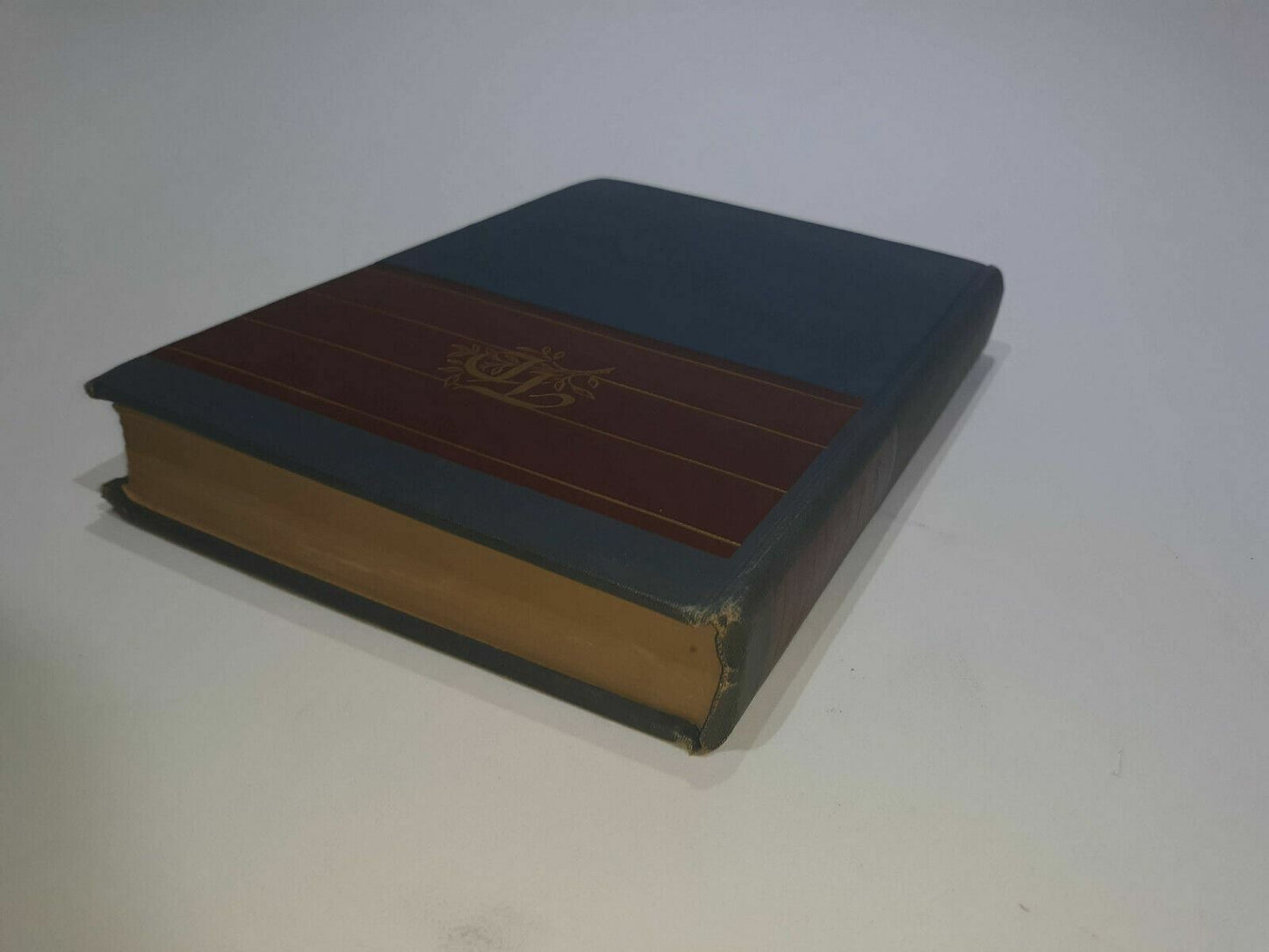Image #6